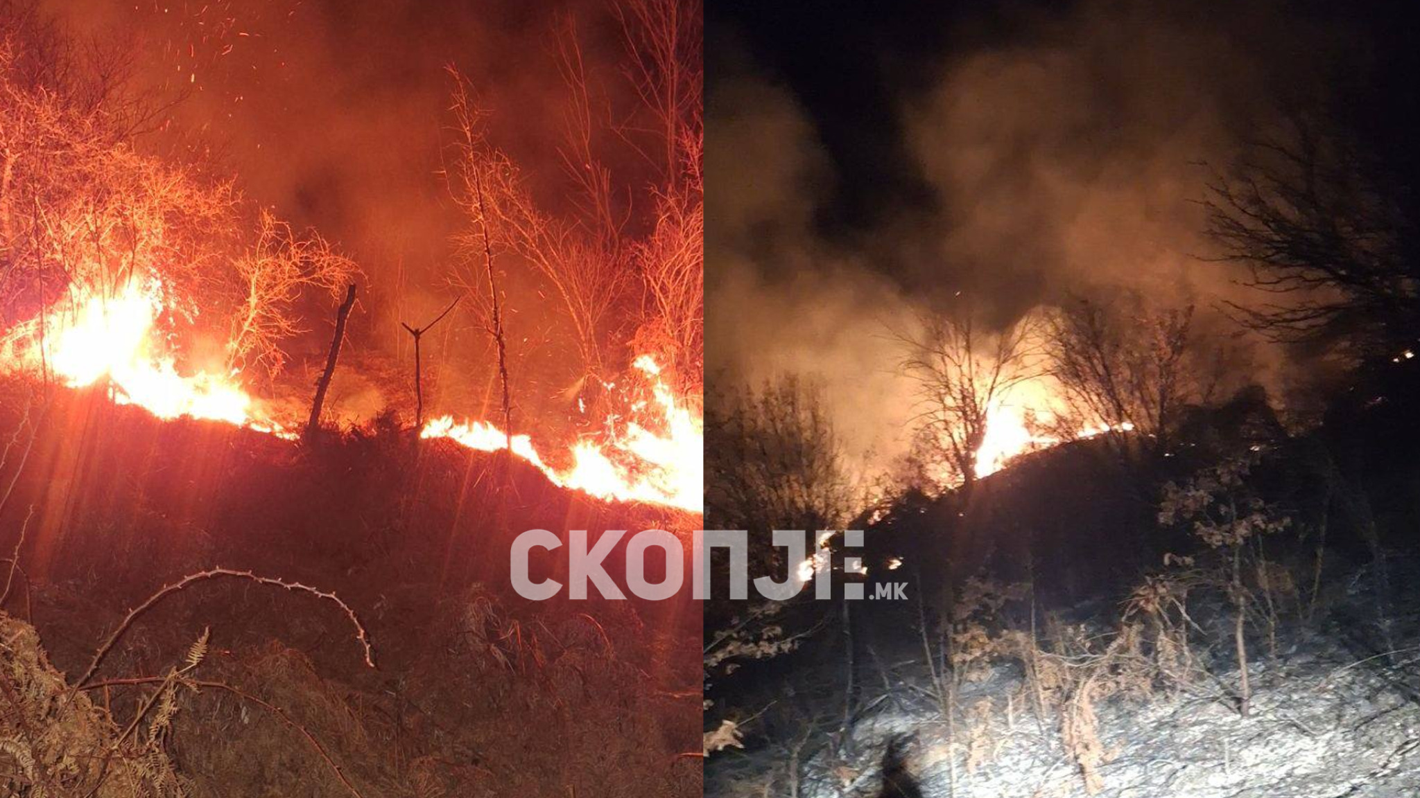 media-libraryg7jhbehc67ch4pvR9mE