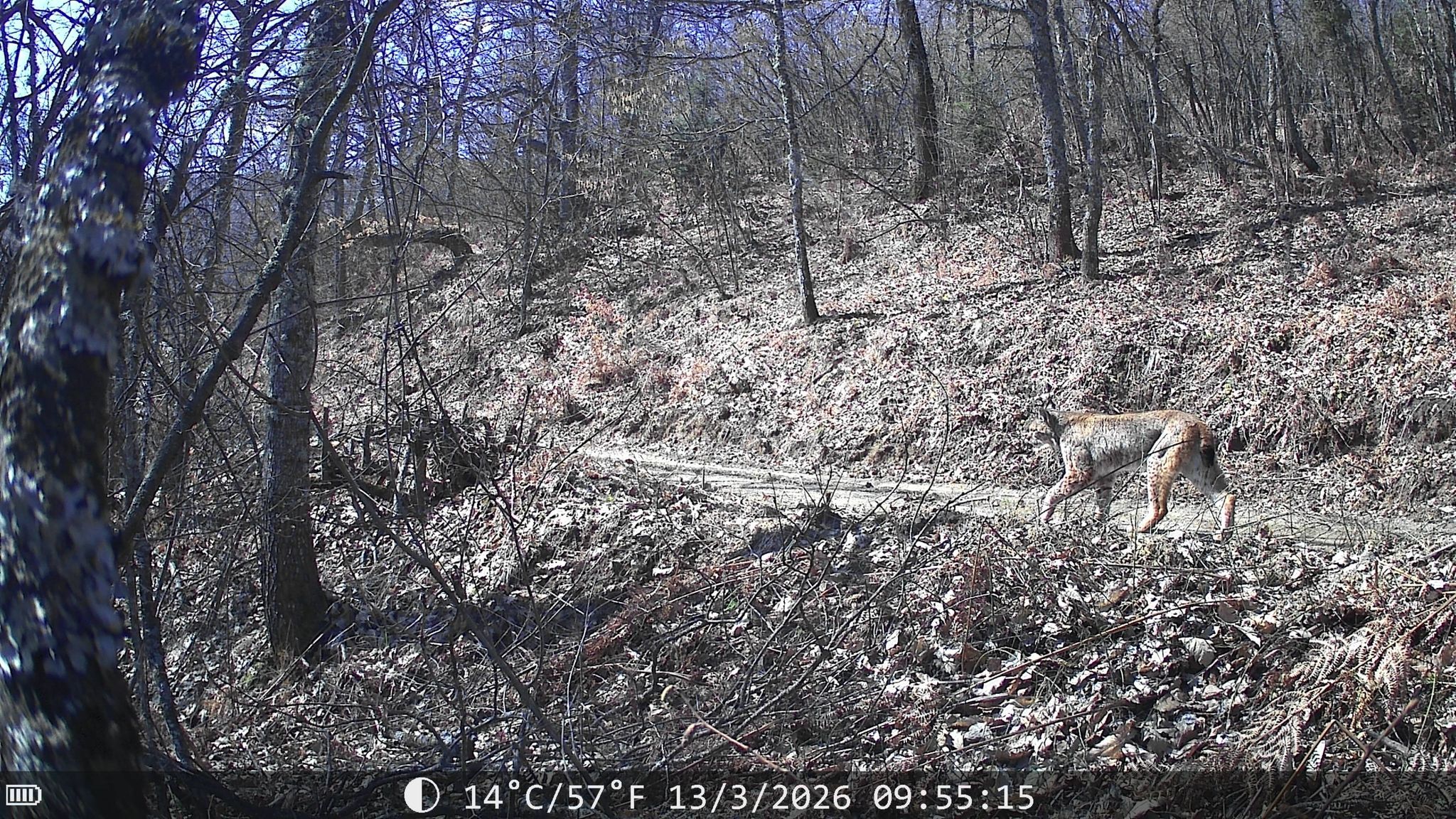 media-libraryd5h44jd1qqfd4aM58Ne