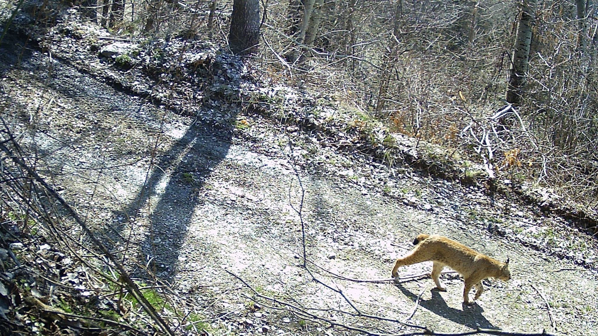 media-libraryggitc0i3g8bs1ilZS4q