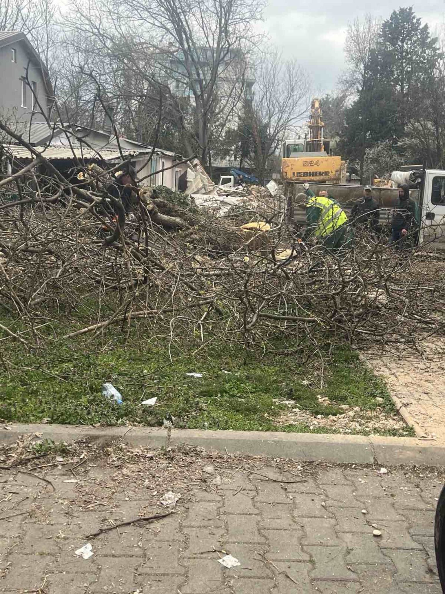 media-library7v7ld4nvqcdgcKvUWQK