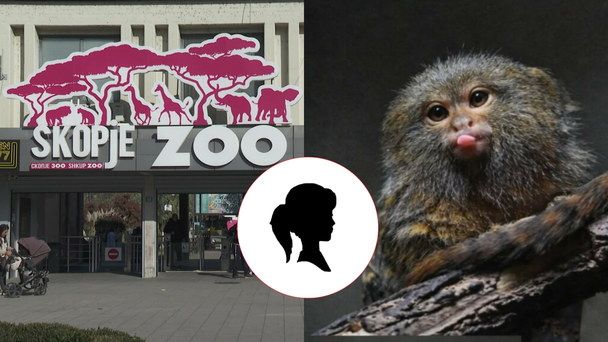 media-library5u6u291ufdvv4E3Snlk