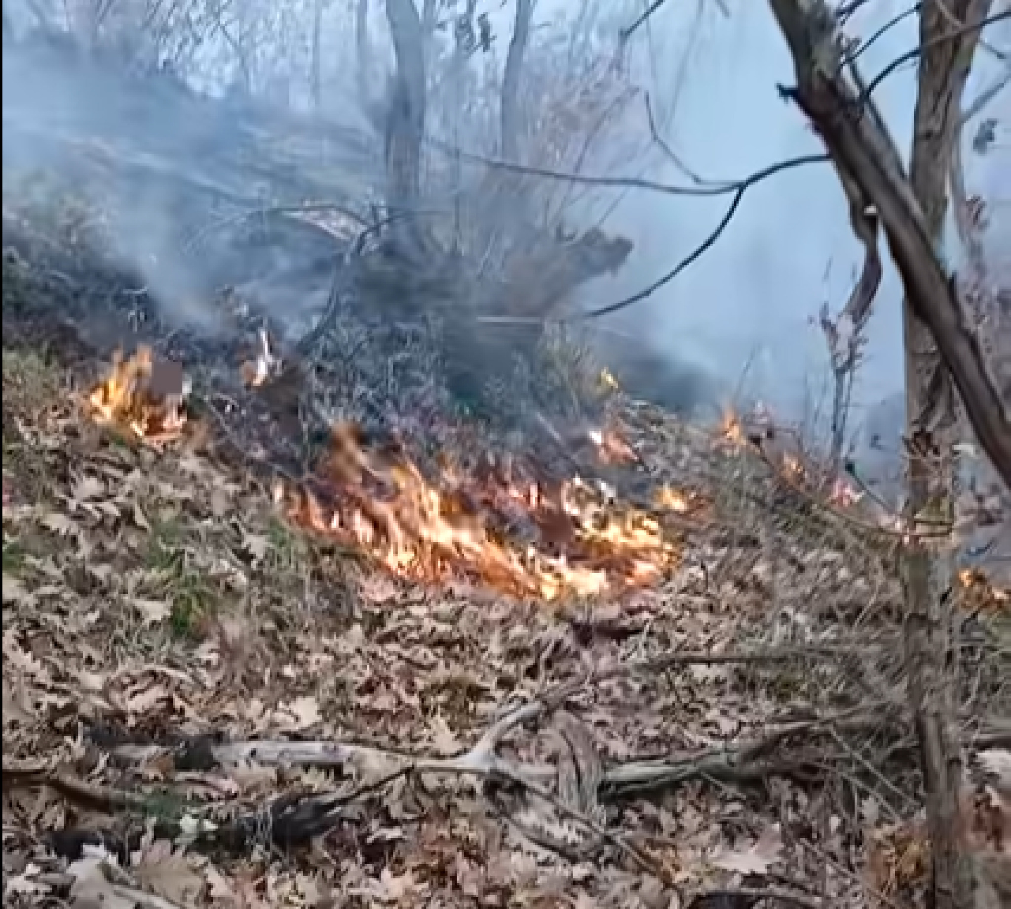 media-library6nup0mogib5pcOAmtn3