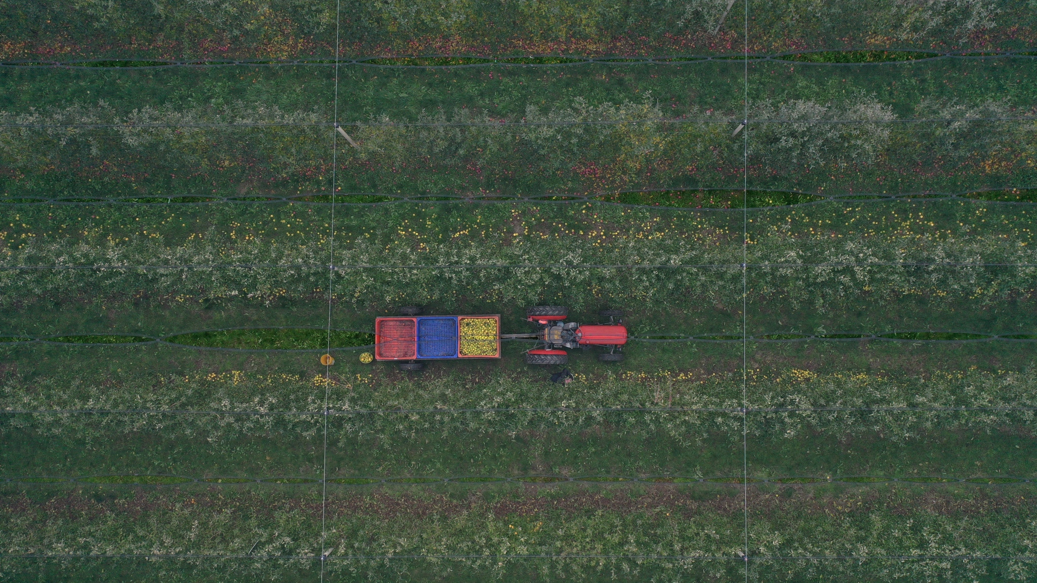 media-libraryjh6m9r832b991pMa41k