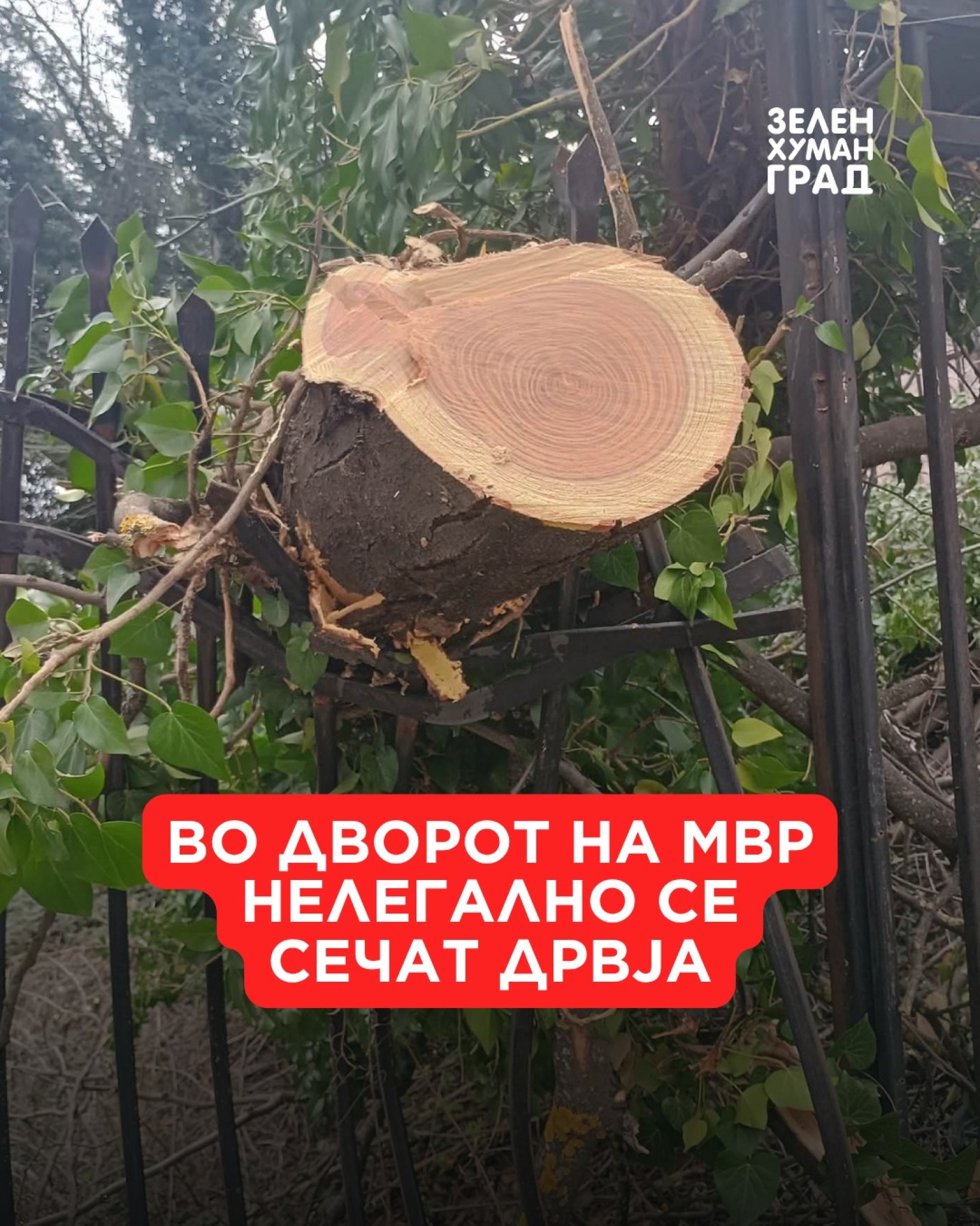 media-libraryq1be6jro4sn56MB9CYR