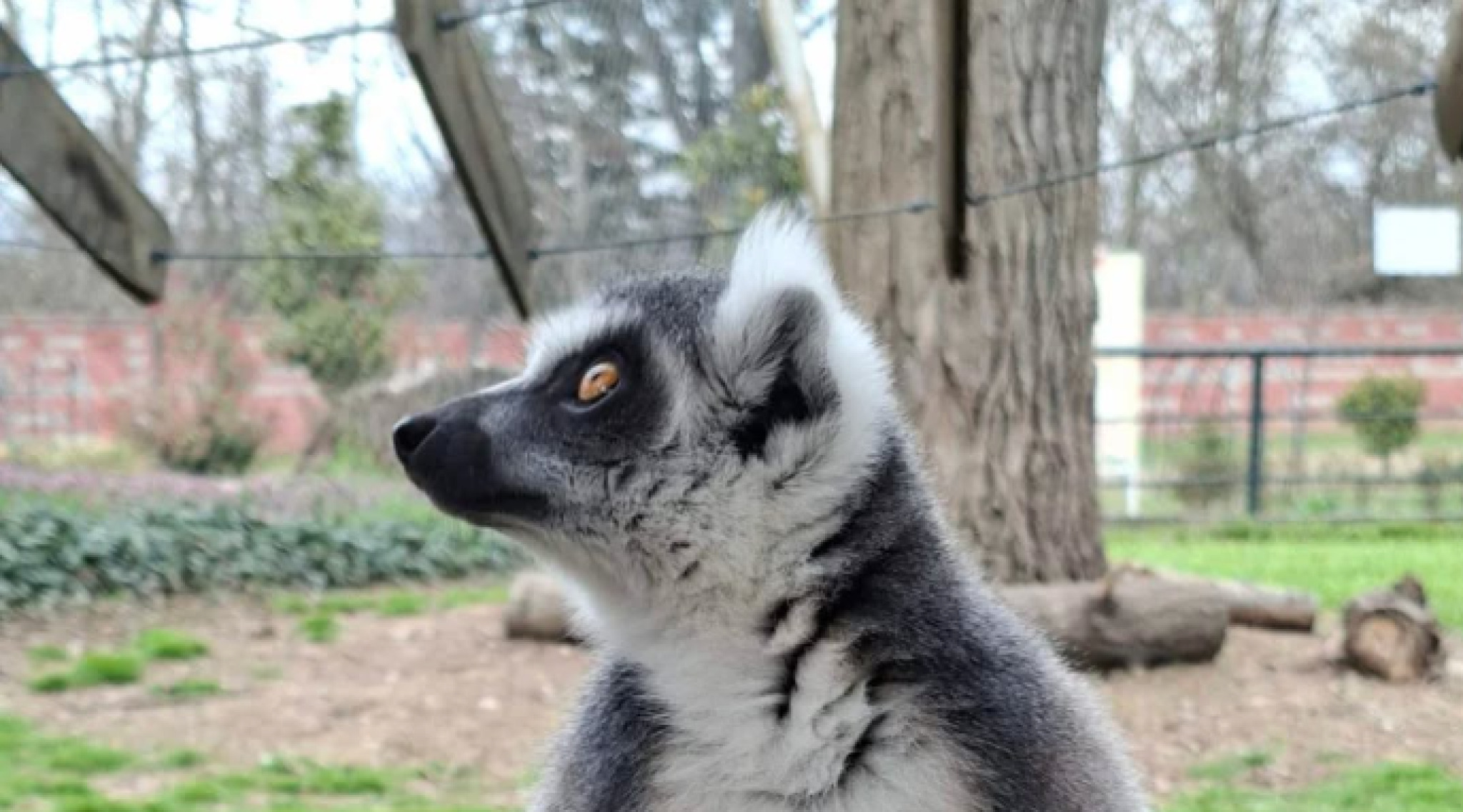 media-librarysg14ft93kh8ma0Caetl