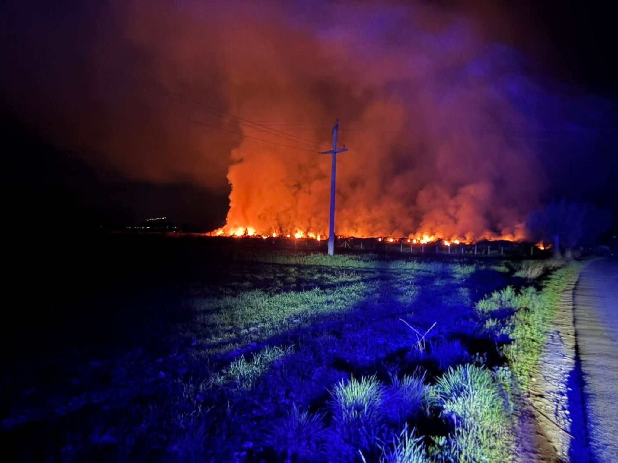 media-libraryojlvrk3r3p1r3oifwTT