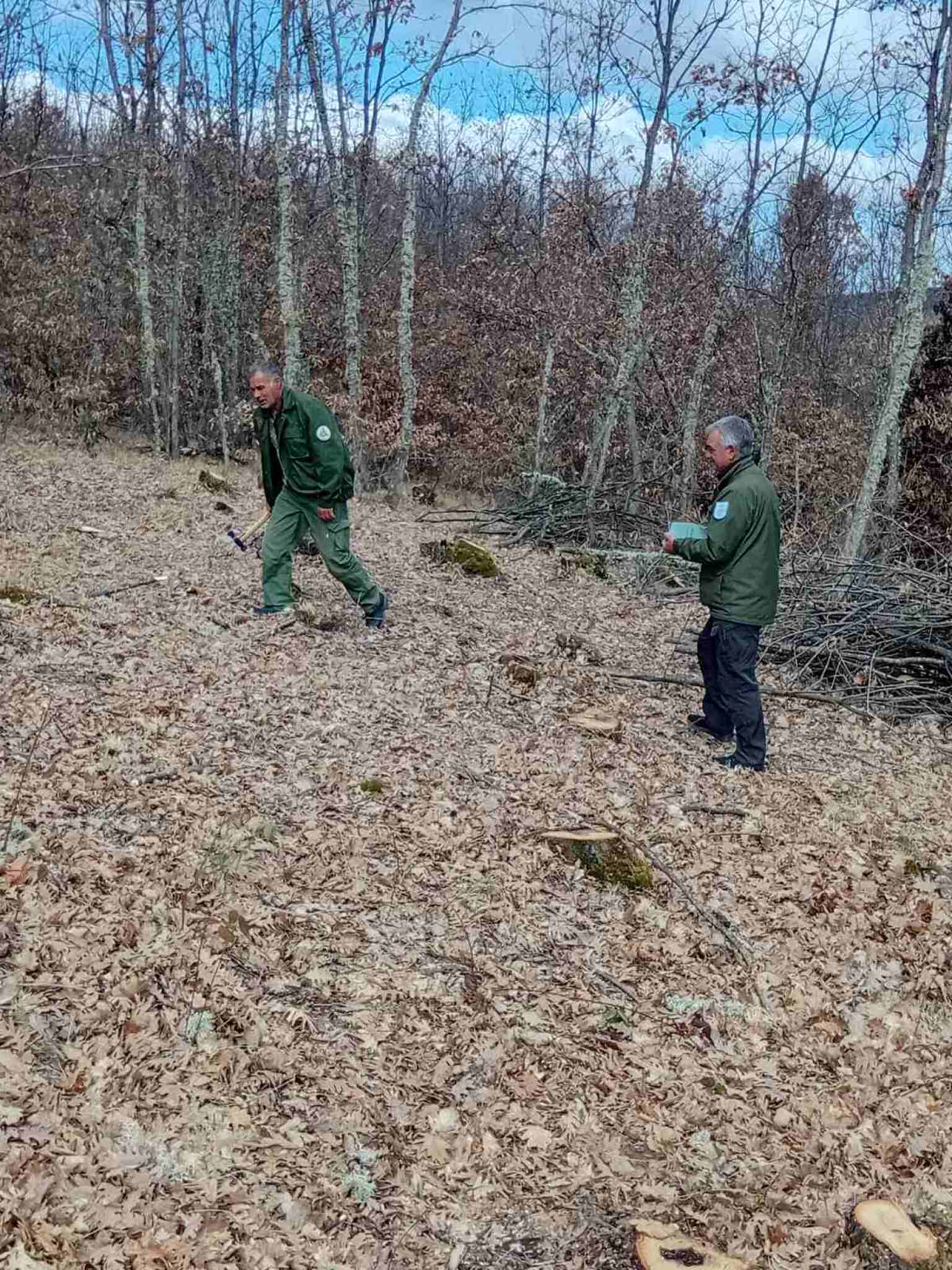 media-libraryqijde50cadgb63SHosR