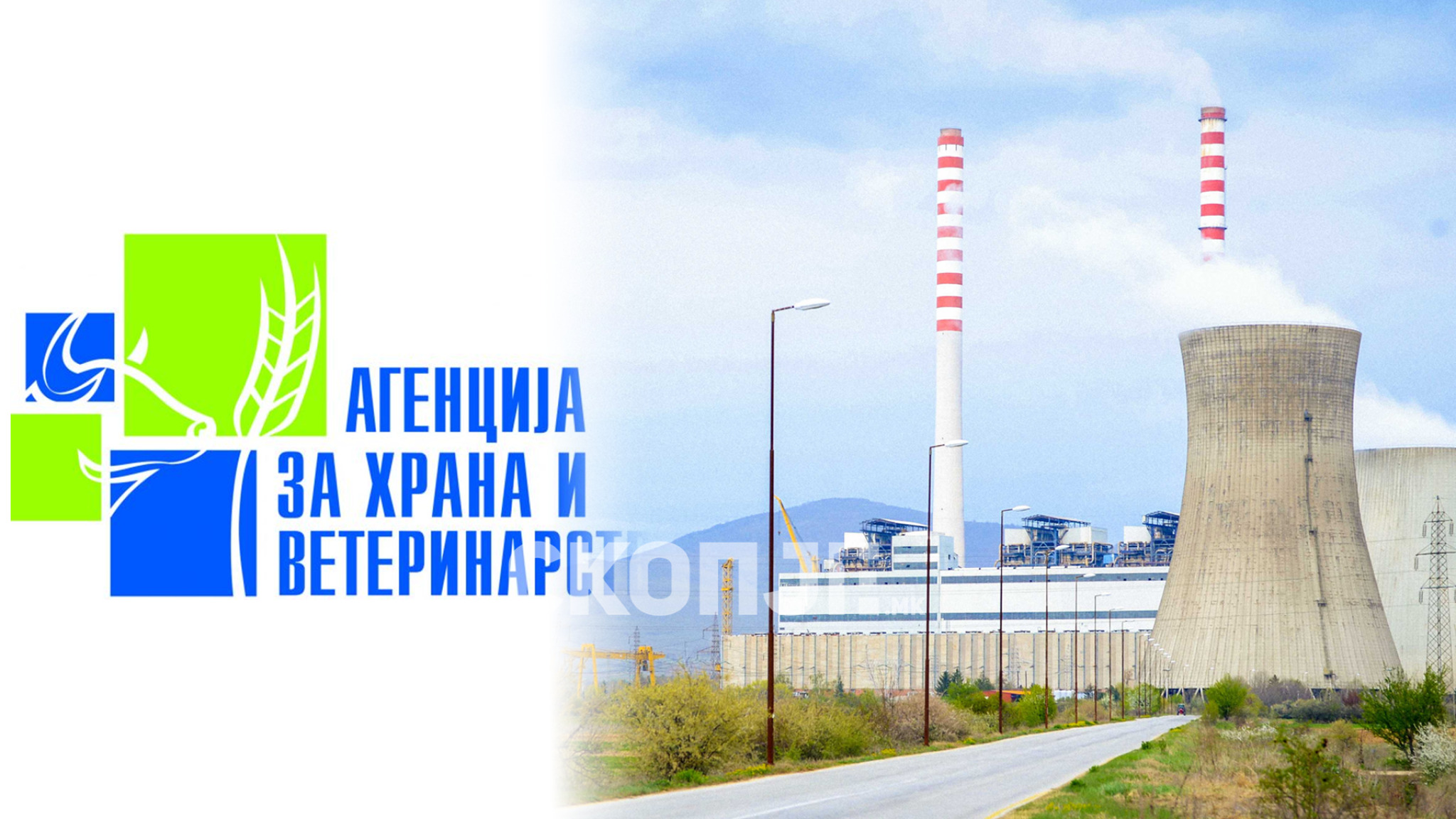 media-libraryv1vilfbvhqtj6spHOi9