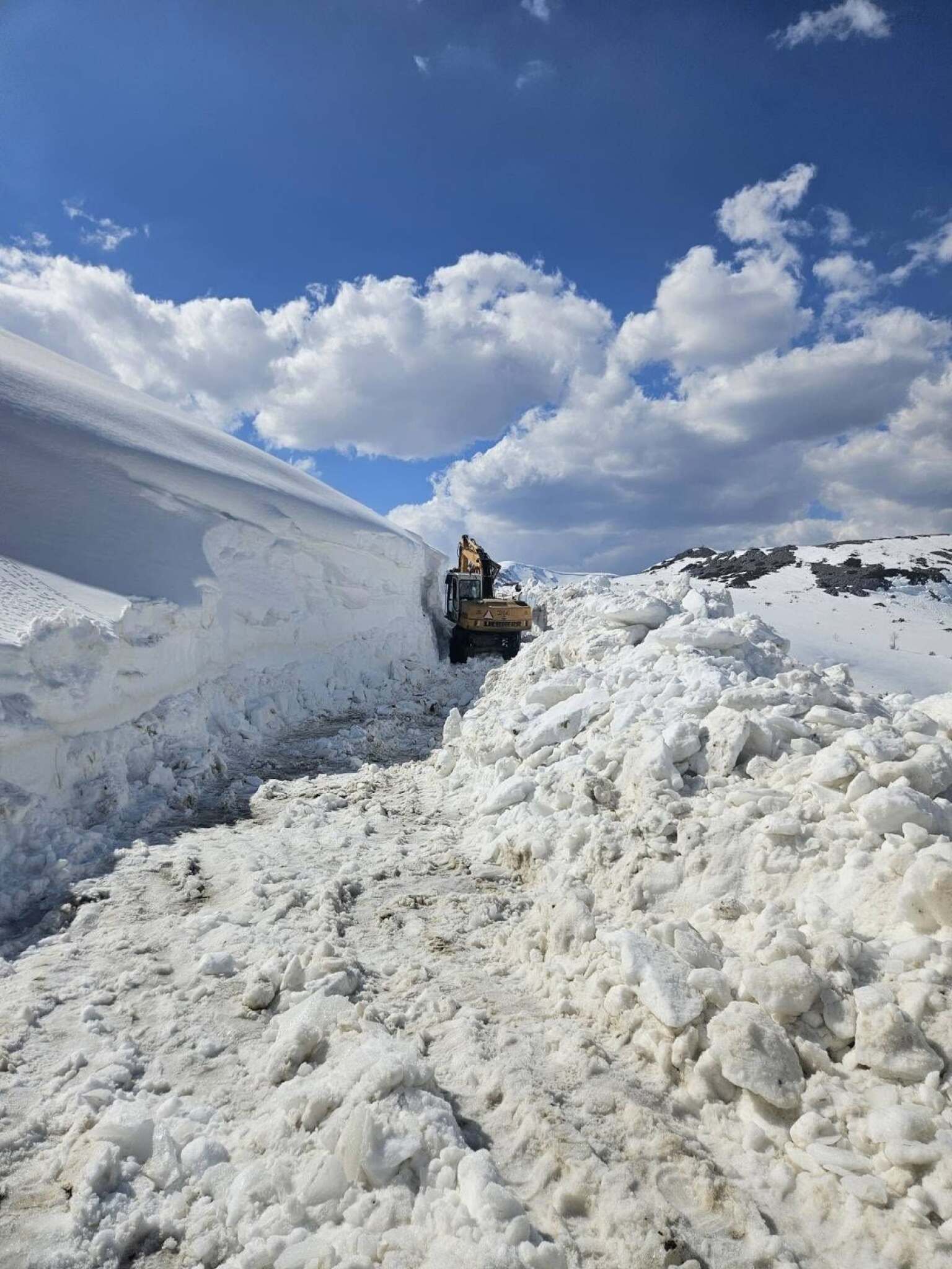 media-library4sfmdnb9n2f62vaSO01