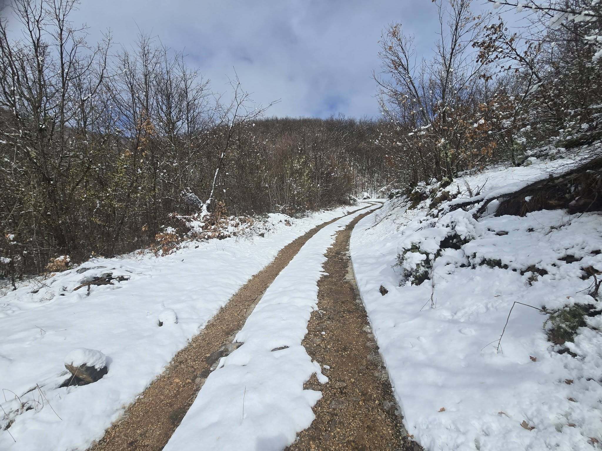 media-library8v59epic5ods6tEj6vY