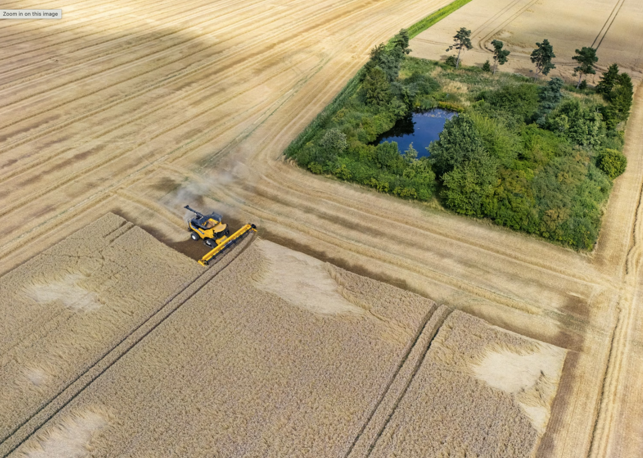 media-libraryc9u3lnkkvubk2v4bN2a