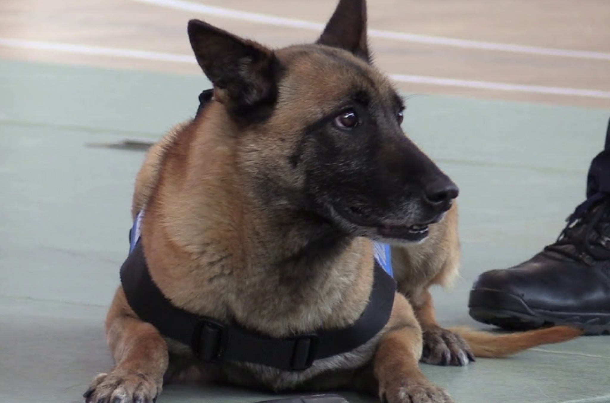 media-libraryn6stajq9pvoj2tUkSEX