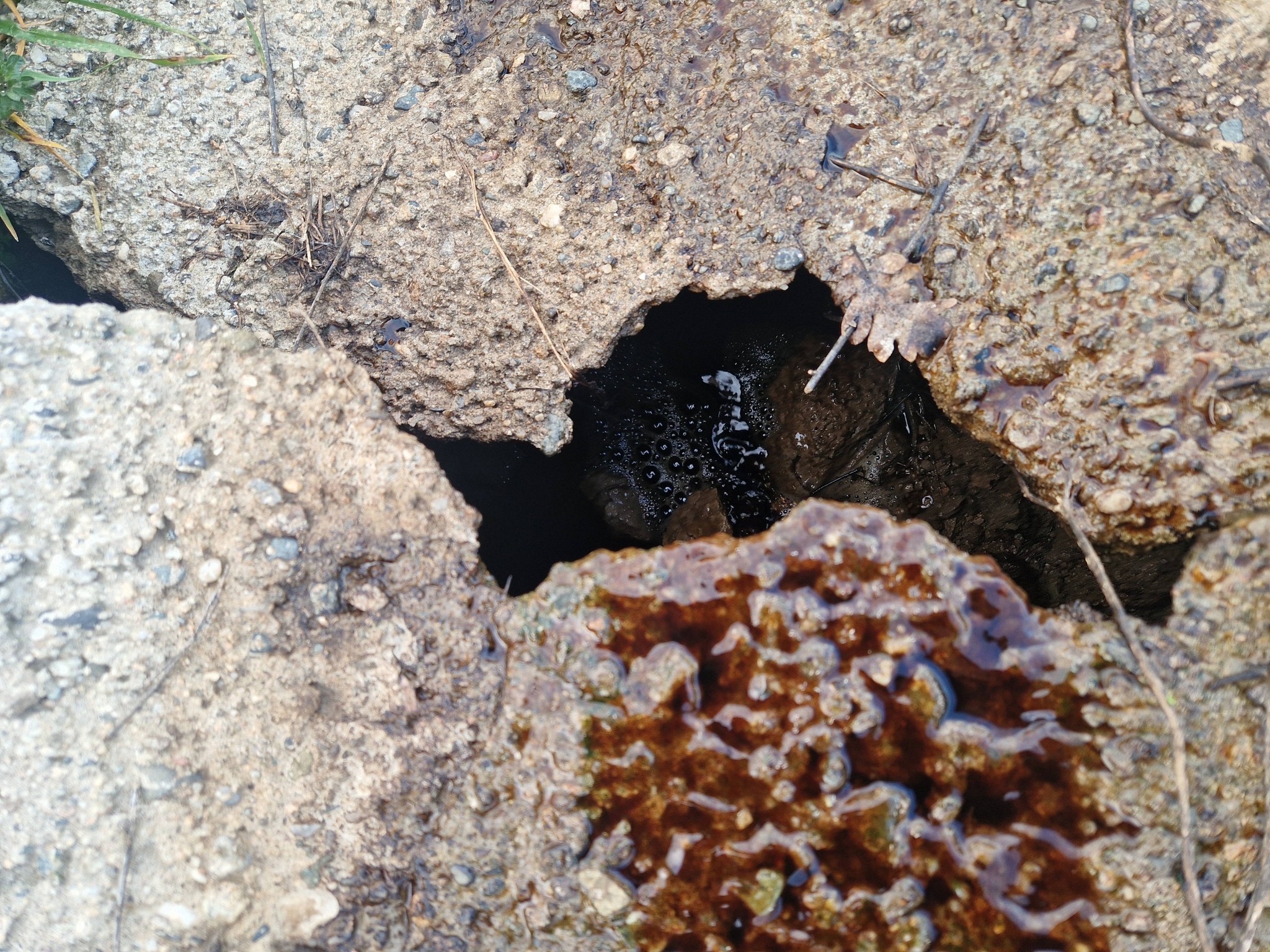 media-libraryh9301lkk53pva9w8WW7