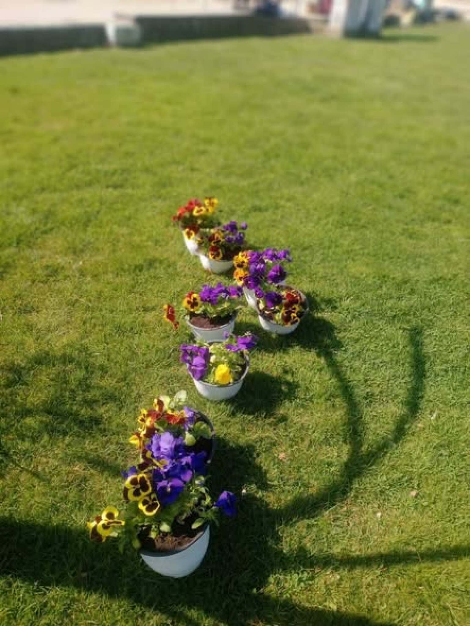 media-library7irtds89db2s1YxxcGg