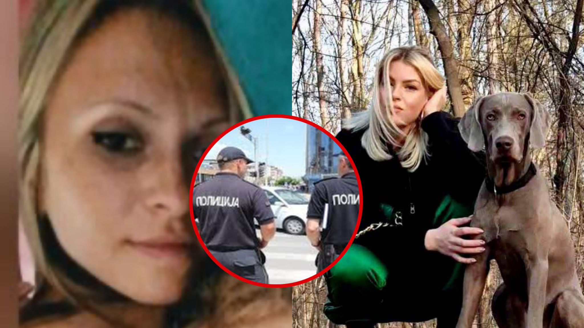 media-libraryktfltokcqe2797FkwSv