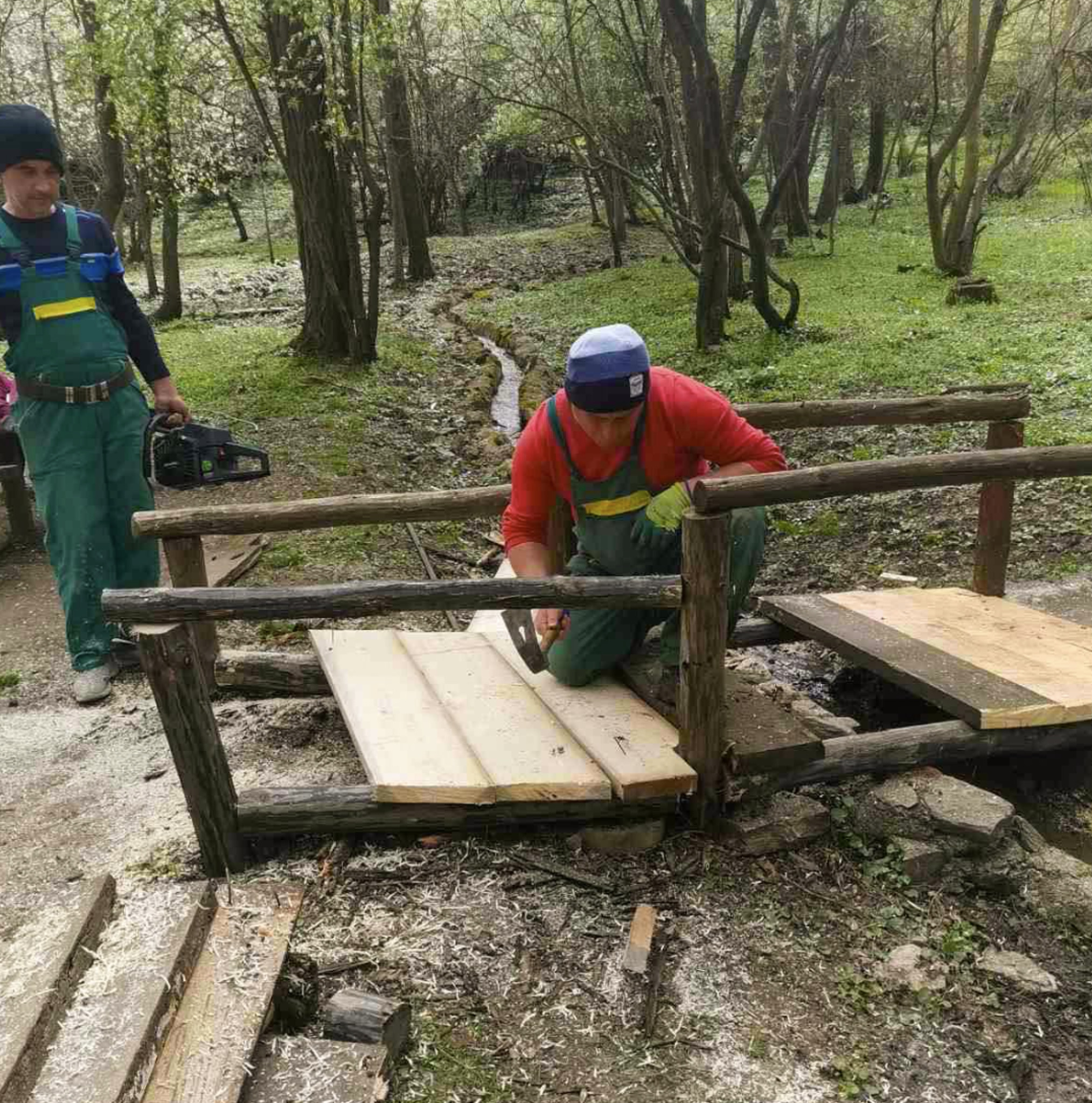 media-libraryl5mpf6vq0skcd9jNIGf