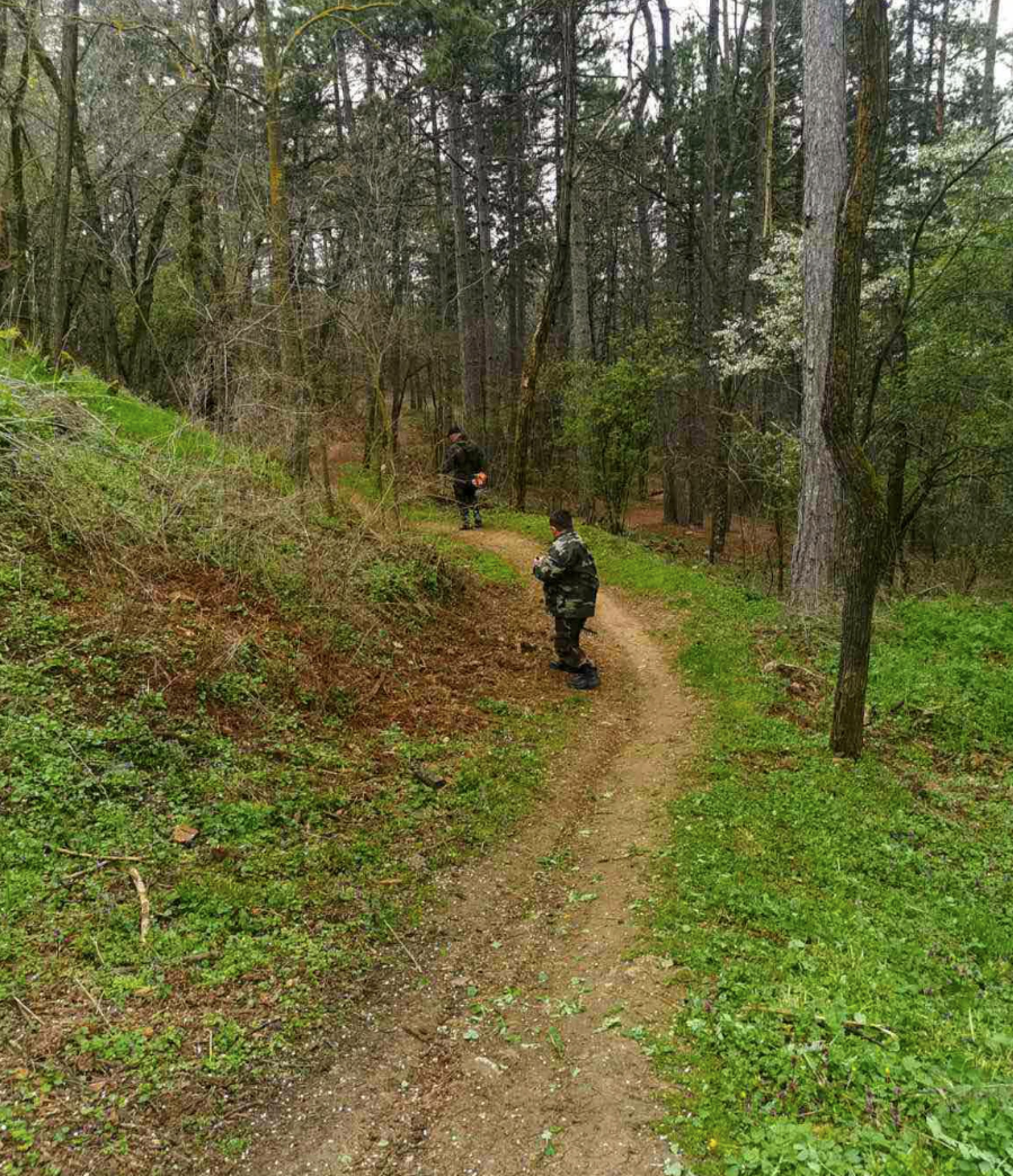 media-libraryomuh258pcs3p0BFWI5q