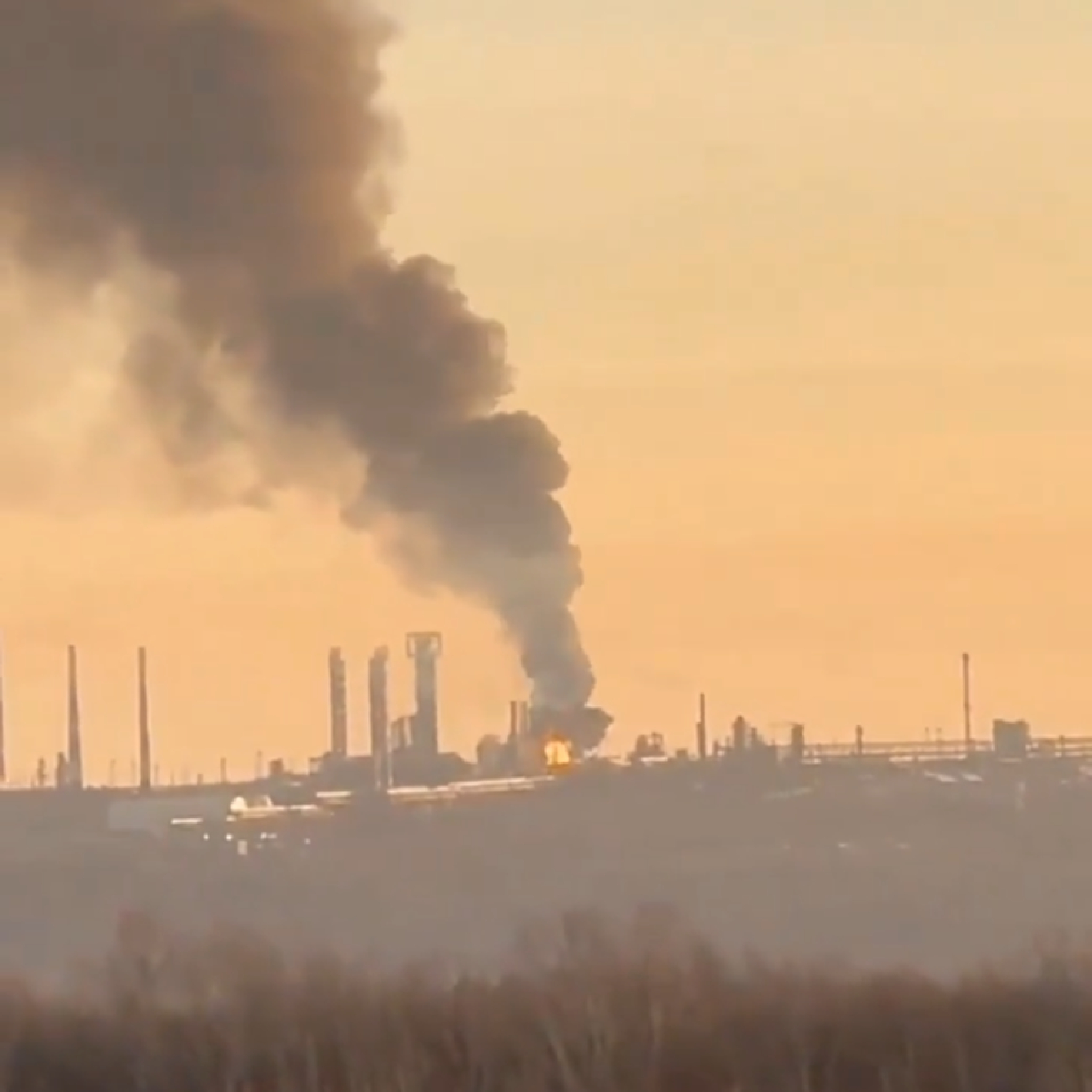 media-library50jkimq4lh9m3BCQQAn