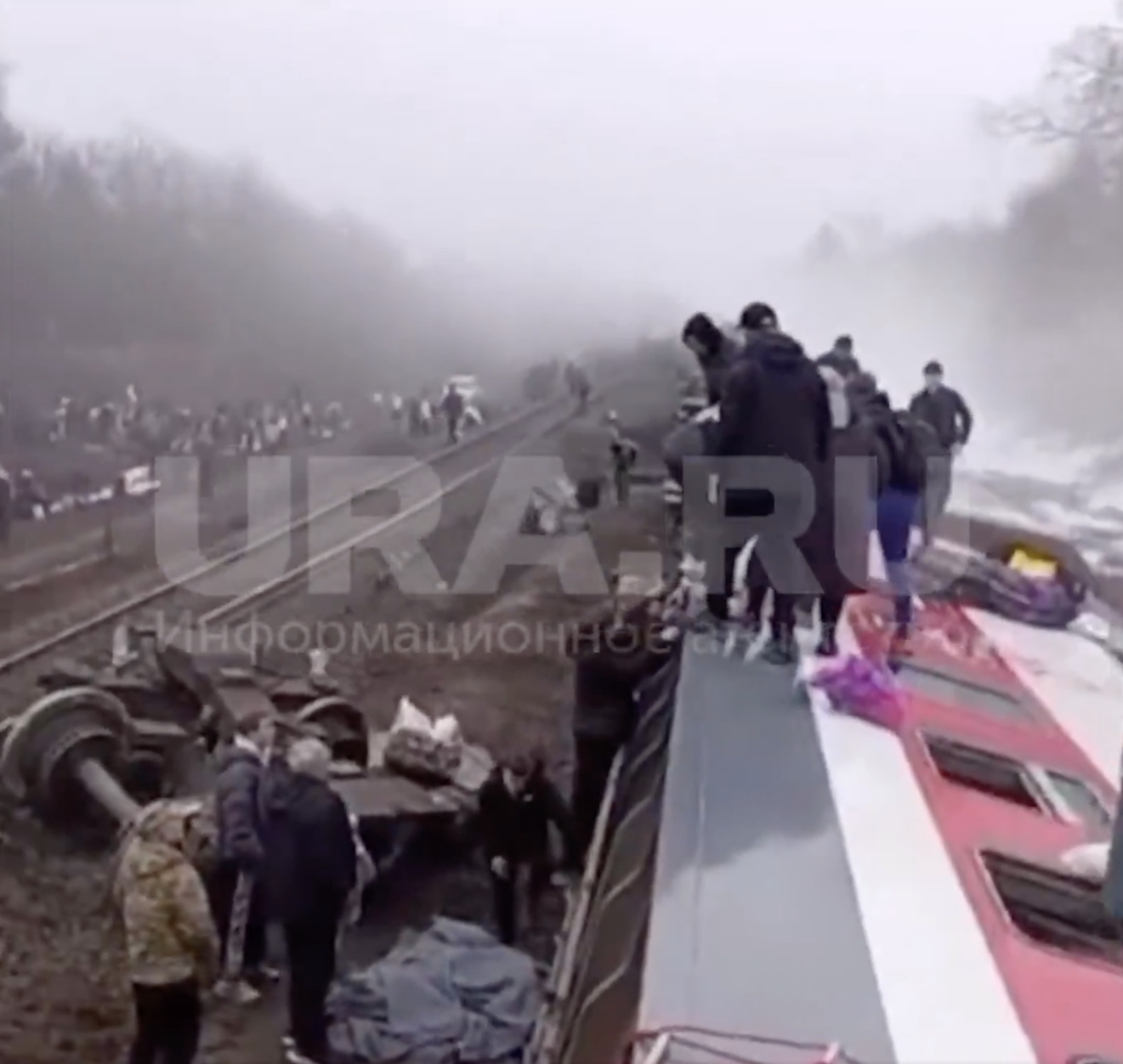 media-library7tiq0l1v31f53Ux1w70