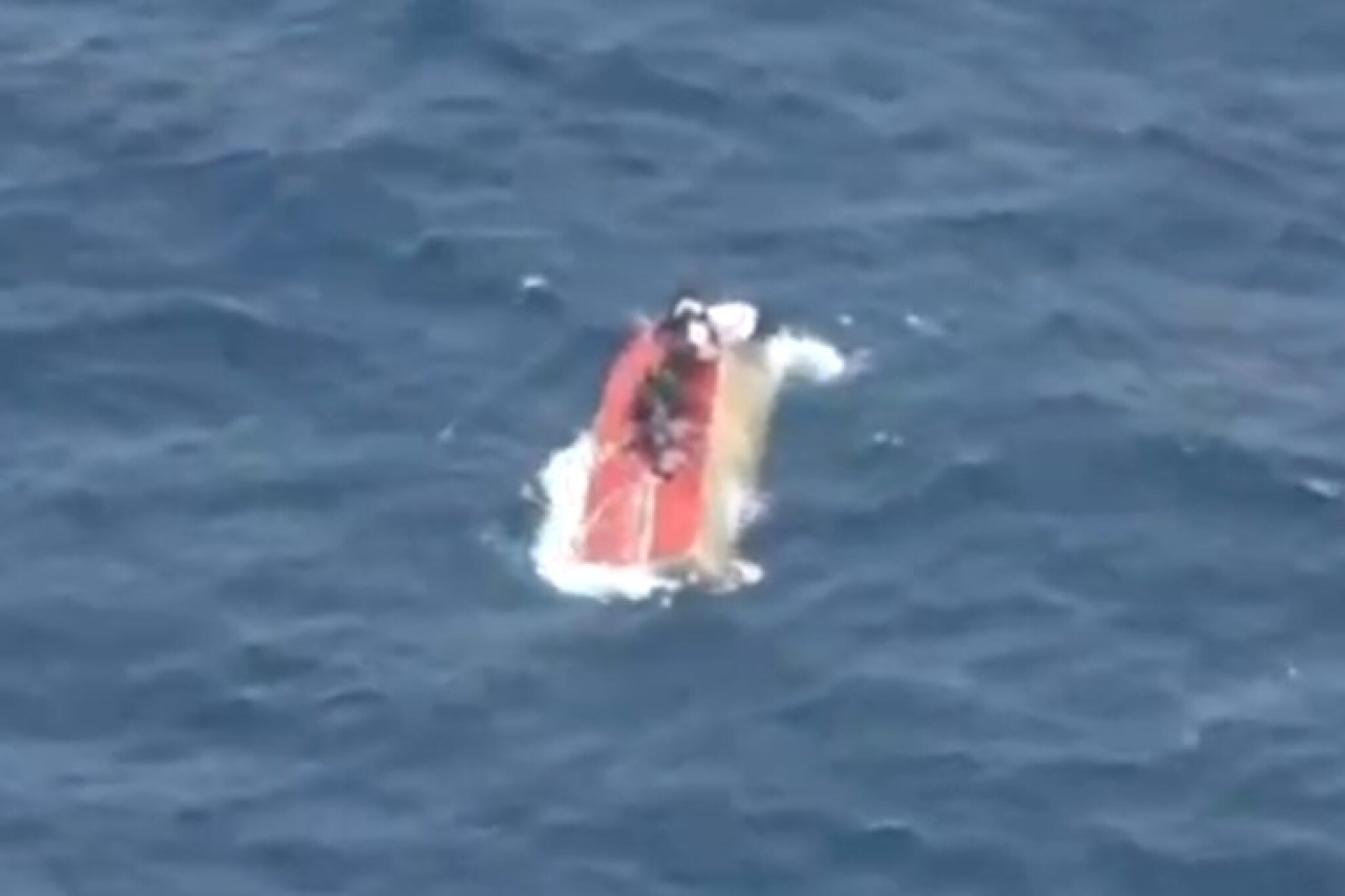 media-libraryh53oqimfdn4j6WFg8Fu