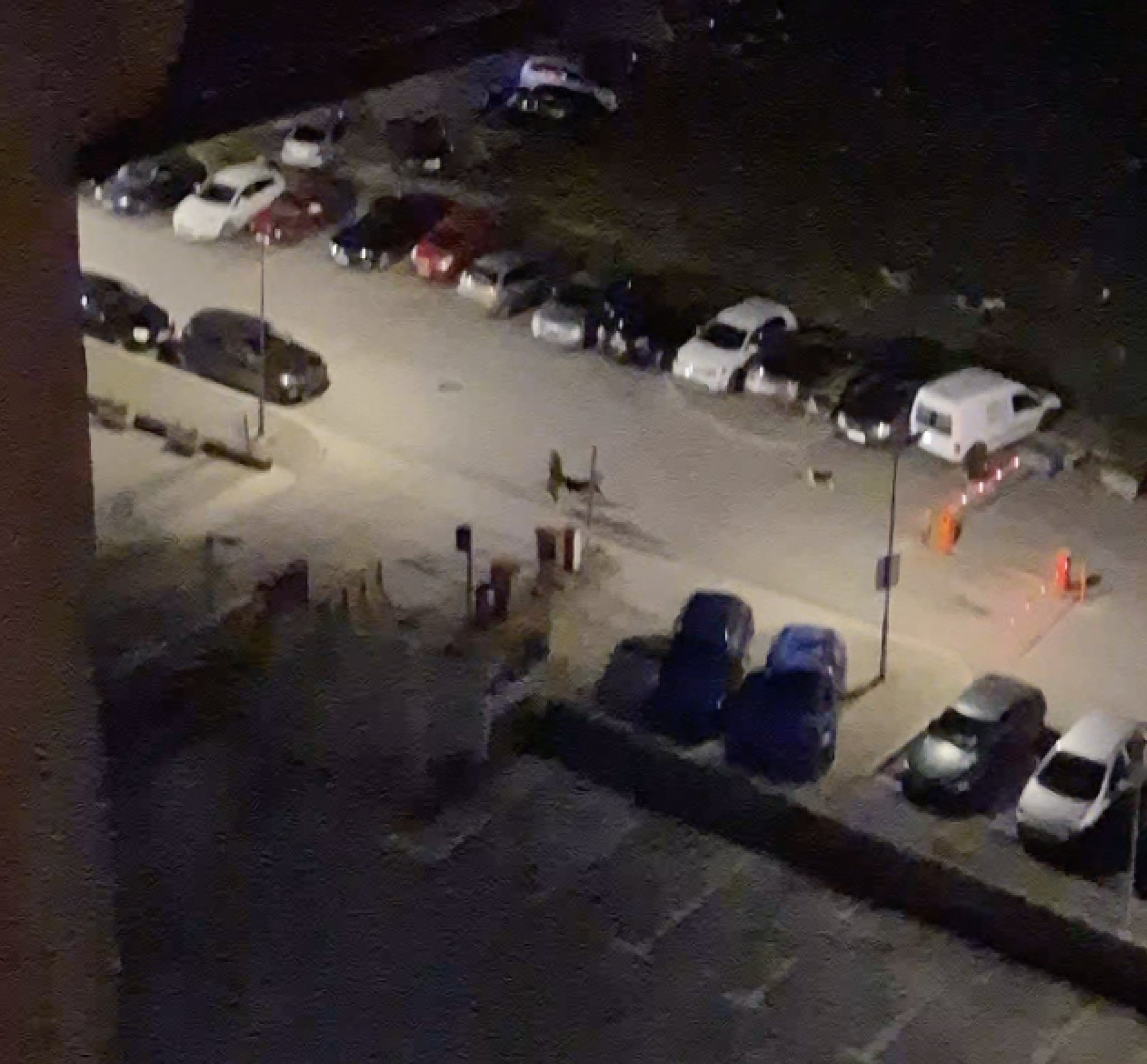 media-libraryo231spenait87yknRKT