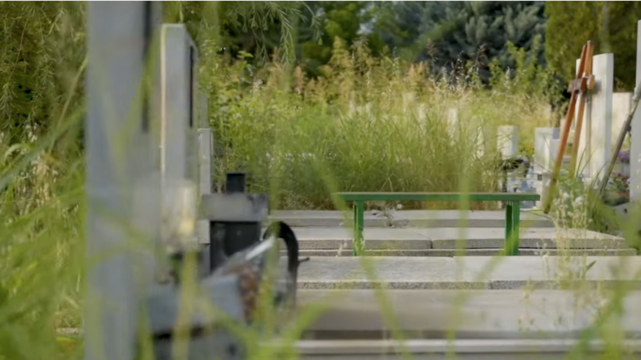 media-library74m17ss756e5aP4YzoF