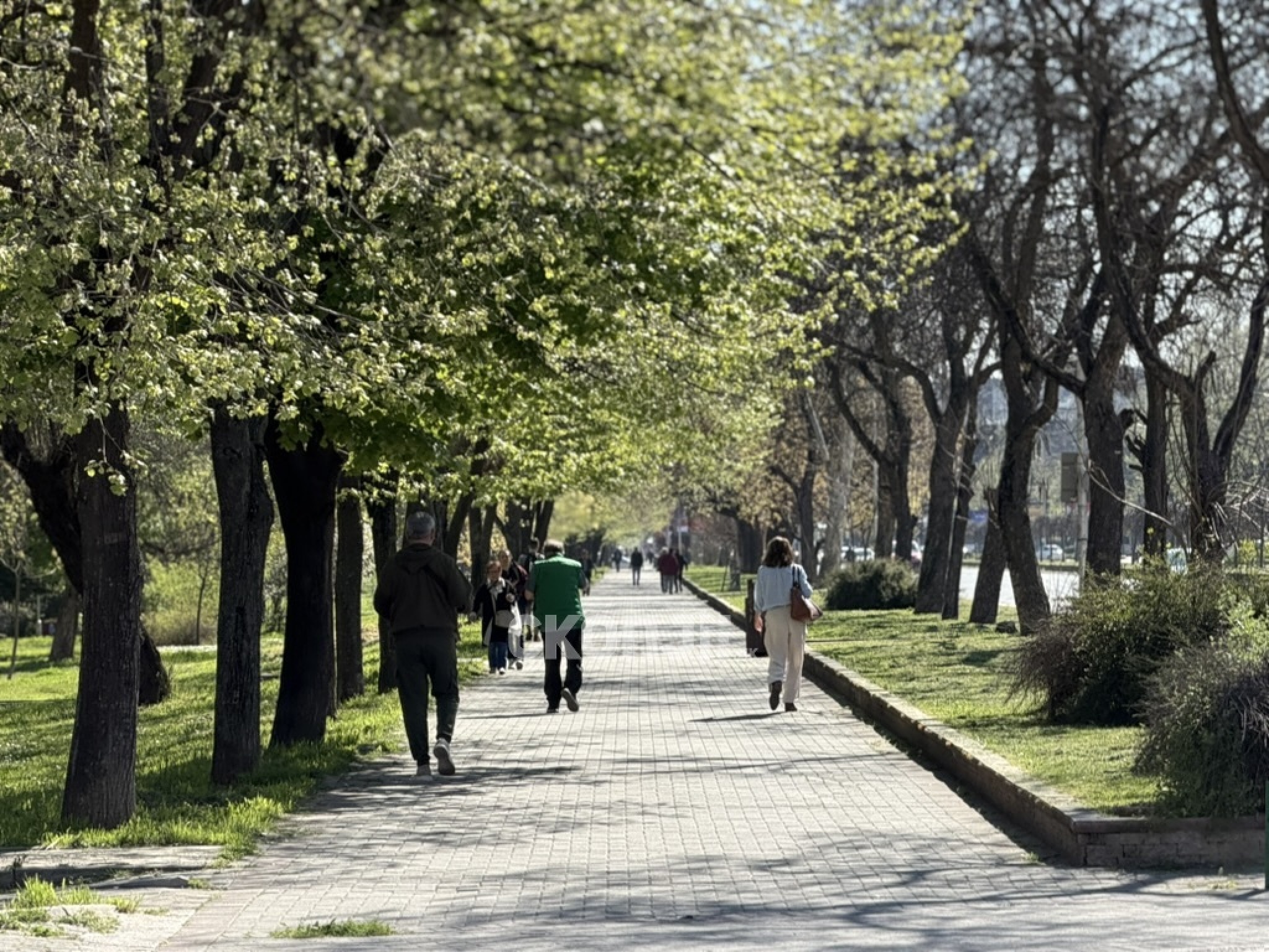 media-librarykr8hik32amhla2RiMGa