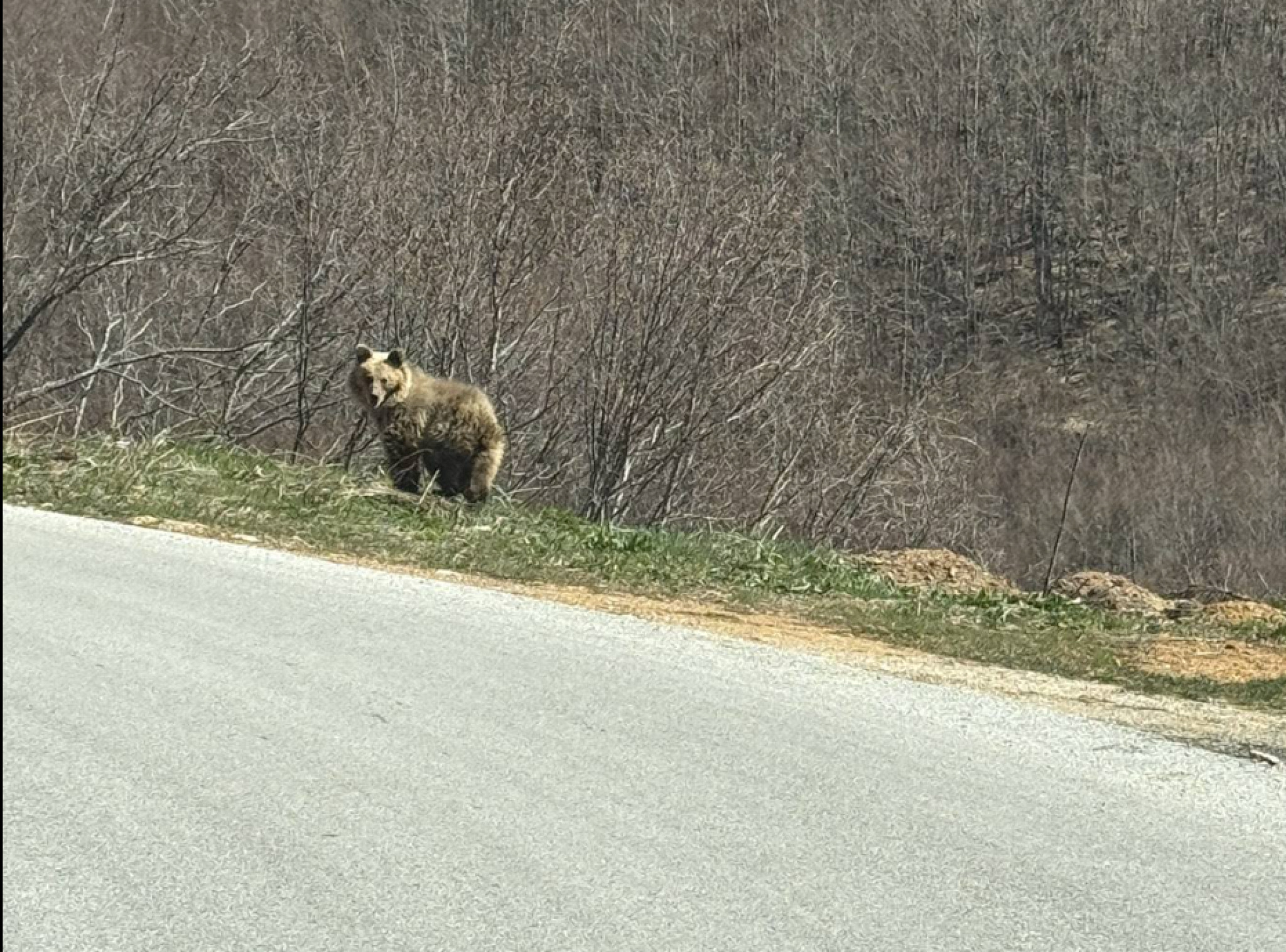 media-librarya1uhflul4j2f4AE2v6G