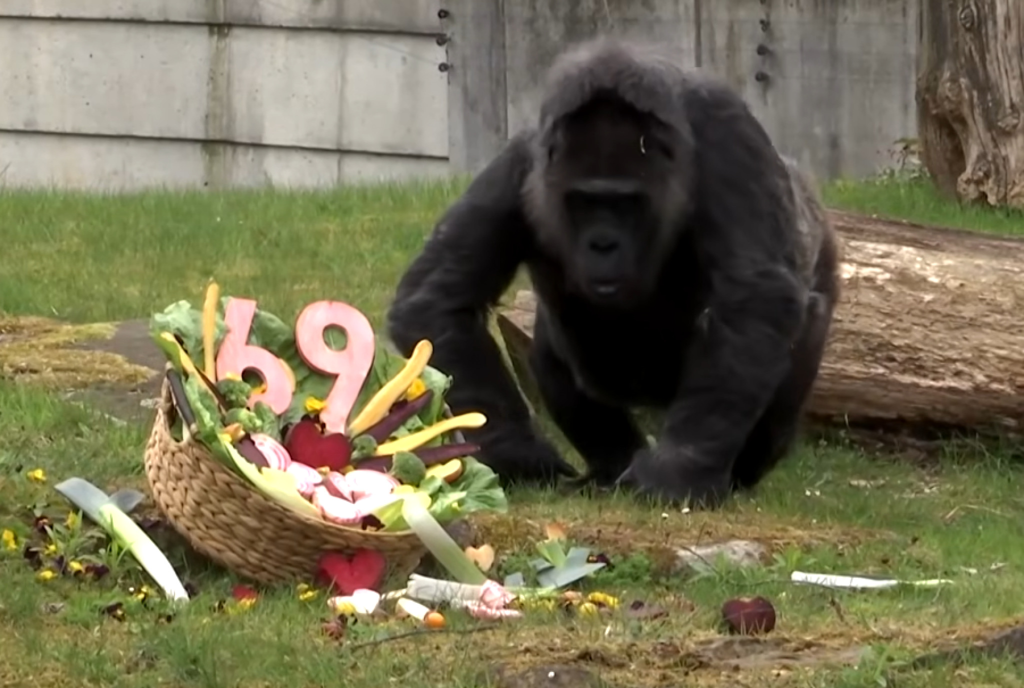 media-library952u3a64hin30MeYnhL