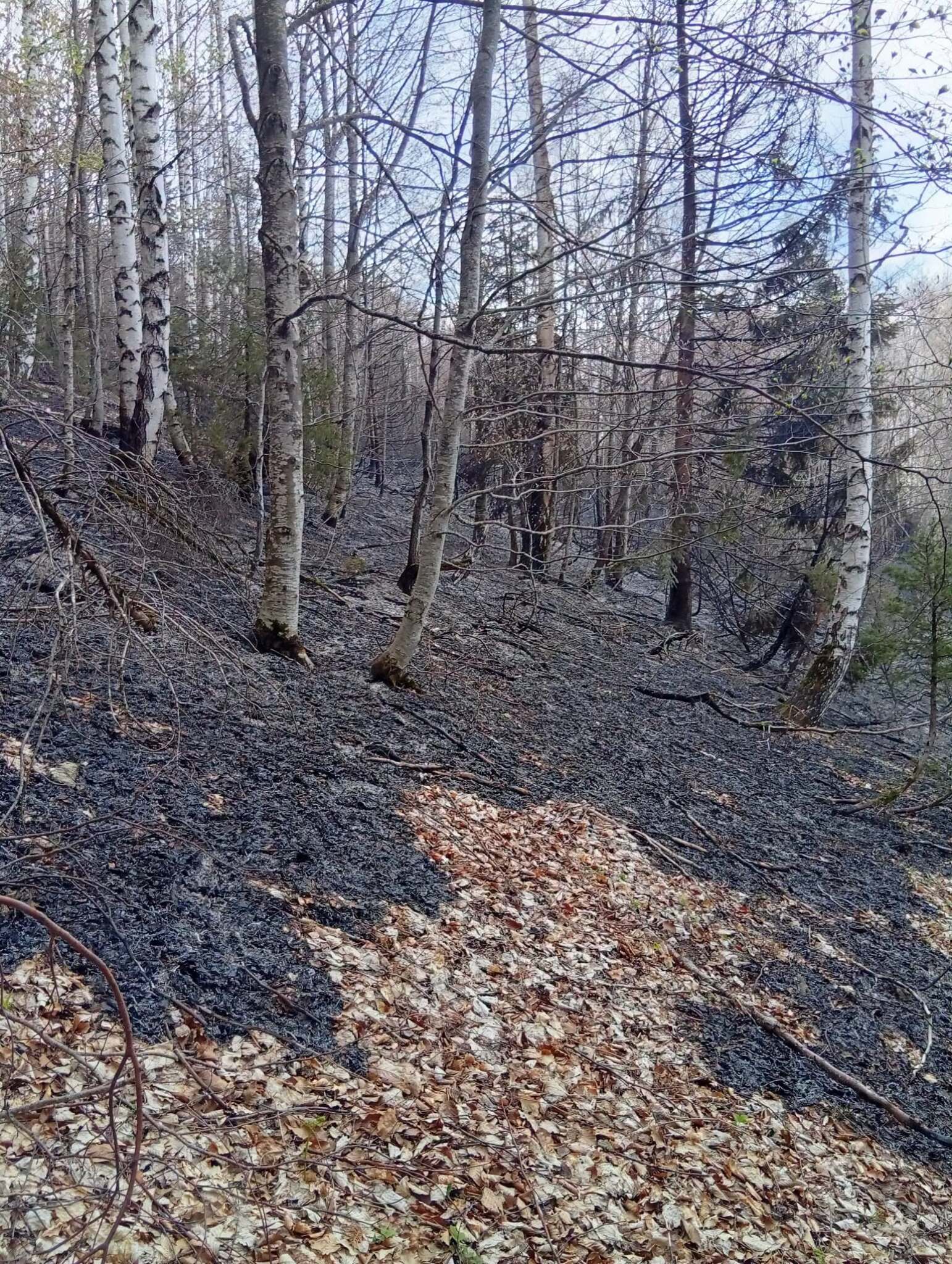 media-library4qlmhm874tgr6Ise1SA