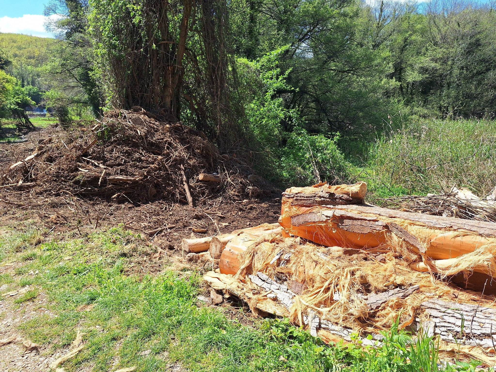 media-library73c2f0shcf622ssIiF6