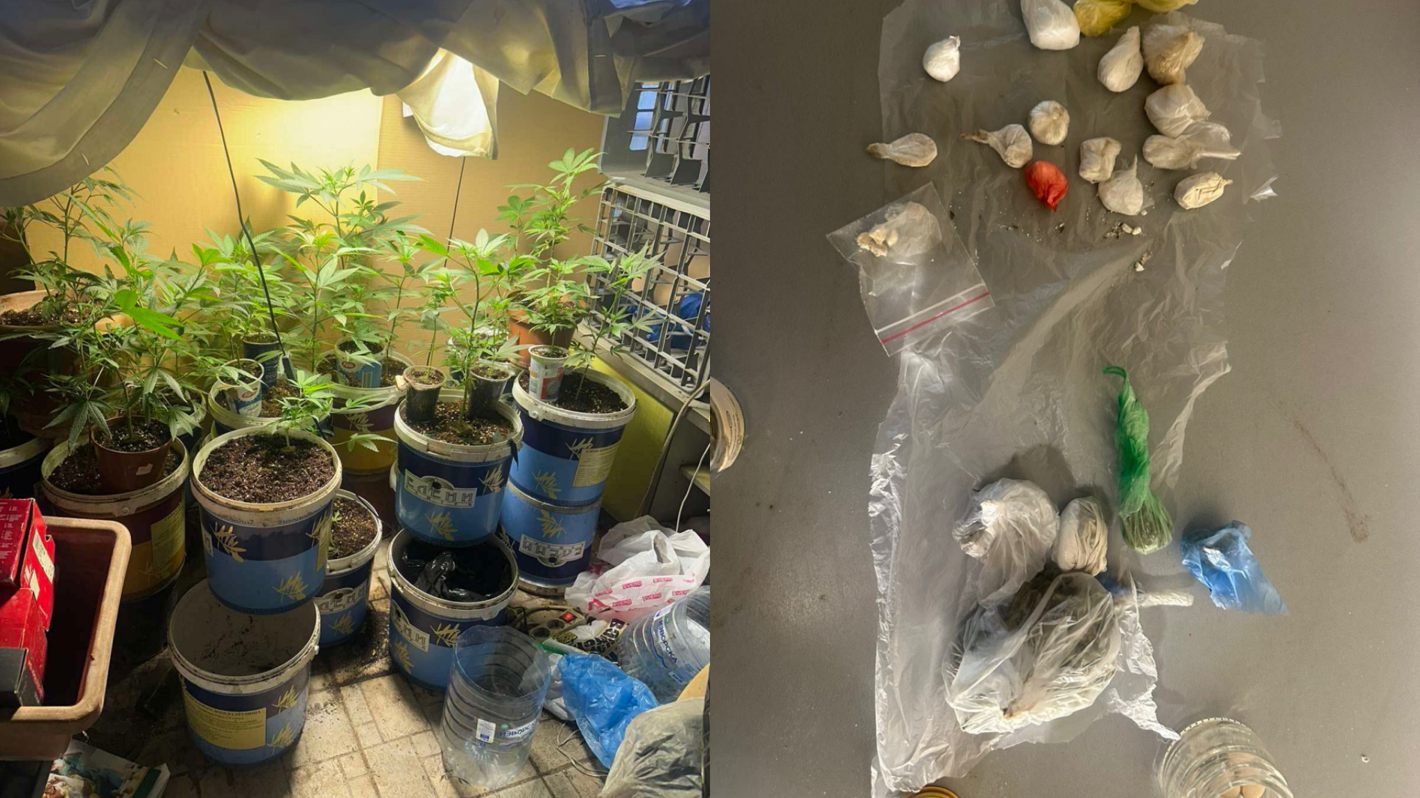 media-libraryur3rn9spo5h14z51iw3