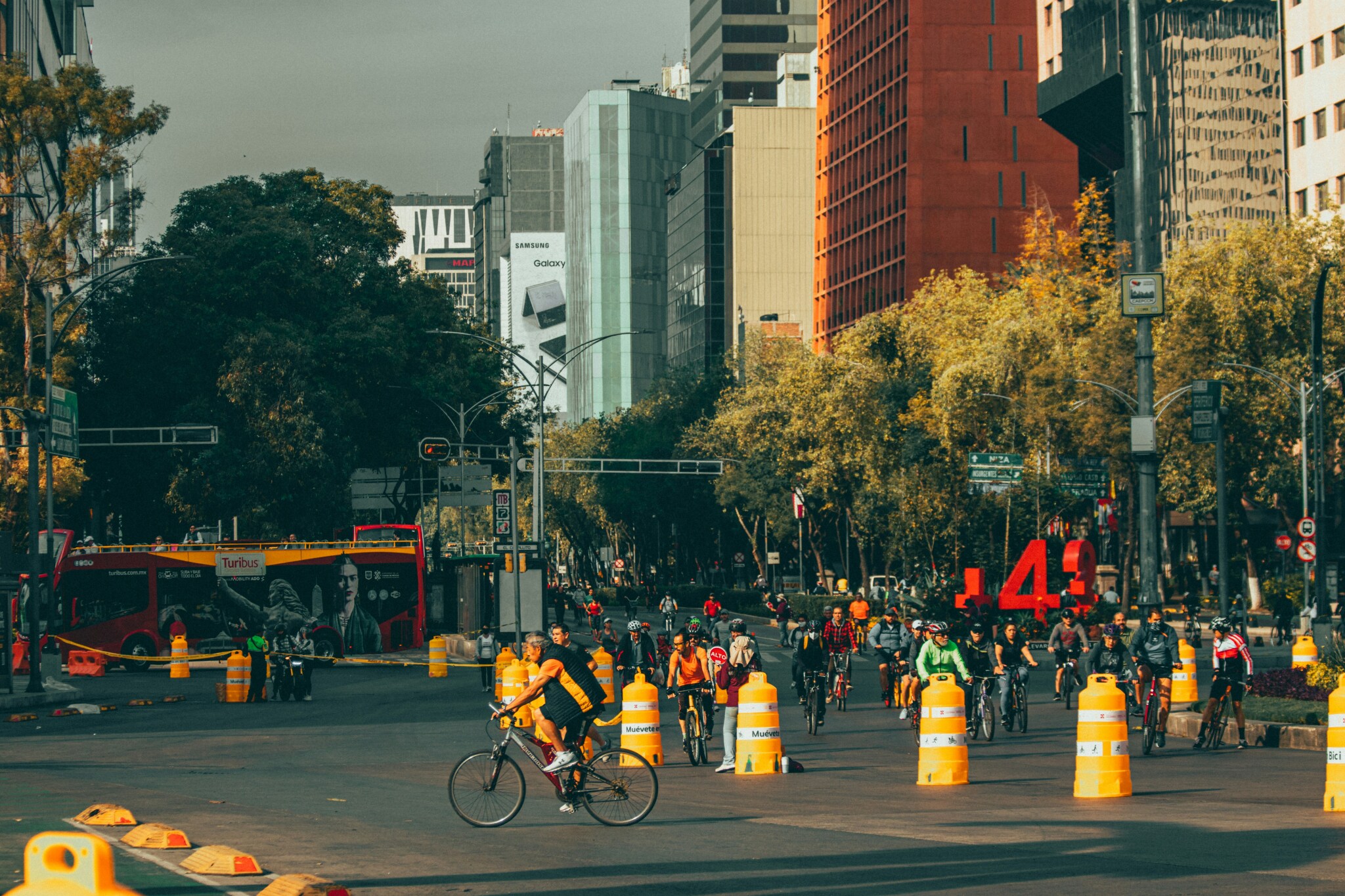 media-librarybrrub1au91upfPCHwJh