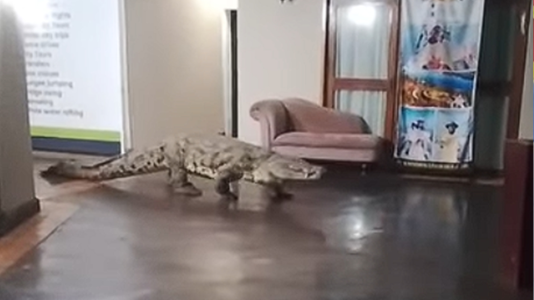 media-librarynq9nu6jfqdoi2rueOMt