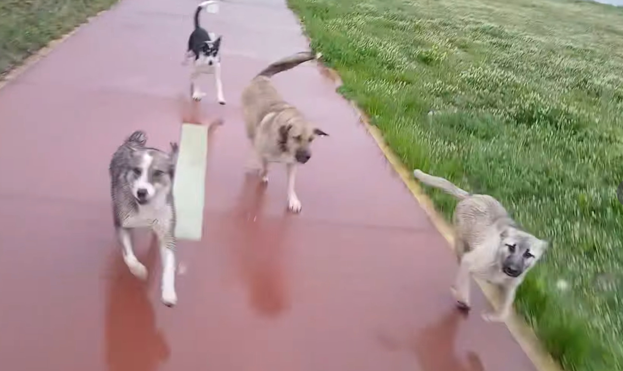 media-libraryeqn9q4kpqoshbNAfdMU