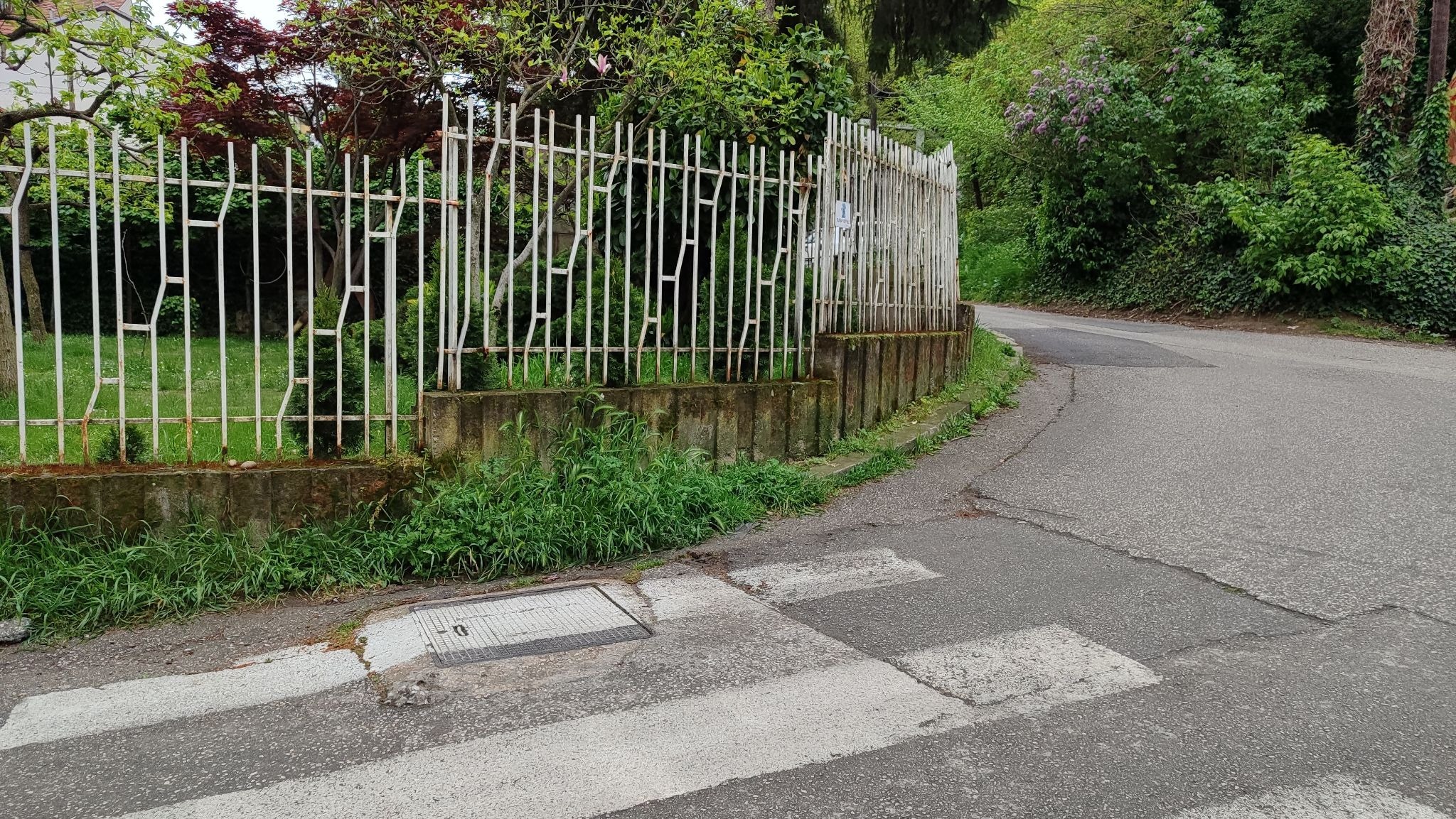 media-librarym6la0ivjijl18TGPPM8