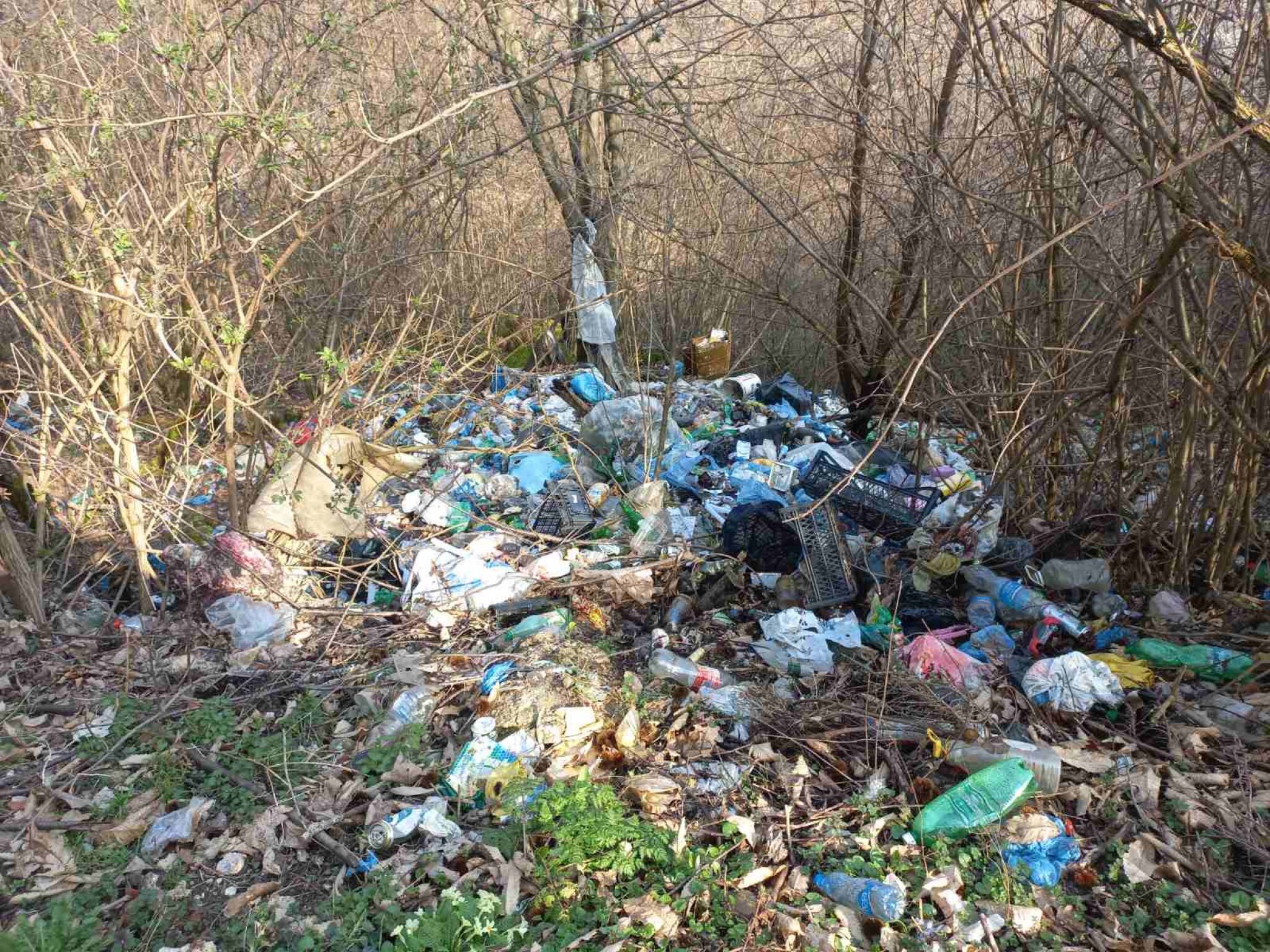 media-library14bbfpkomlka27LlBsr