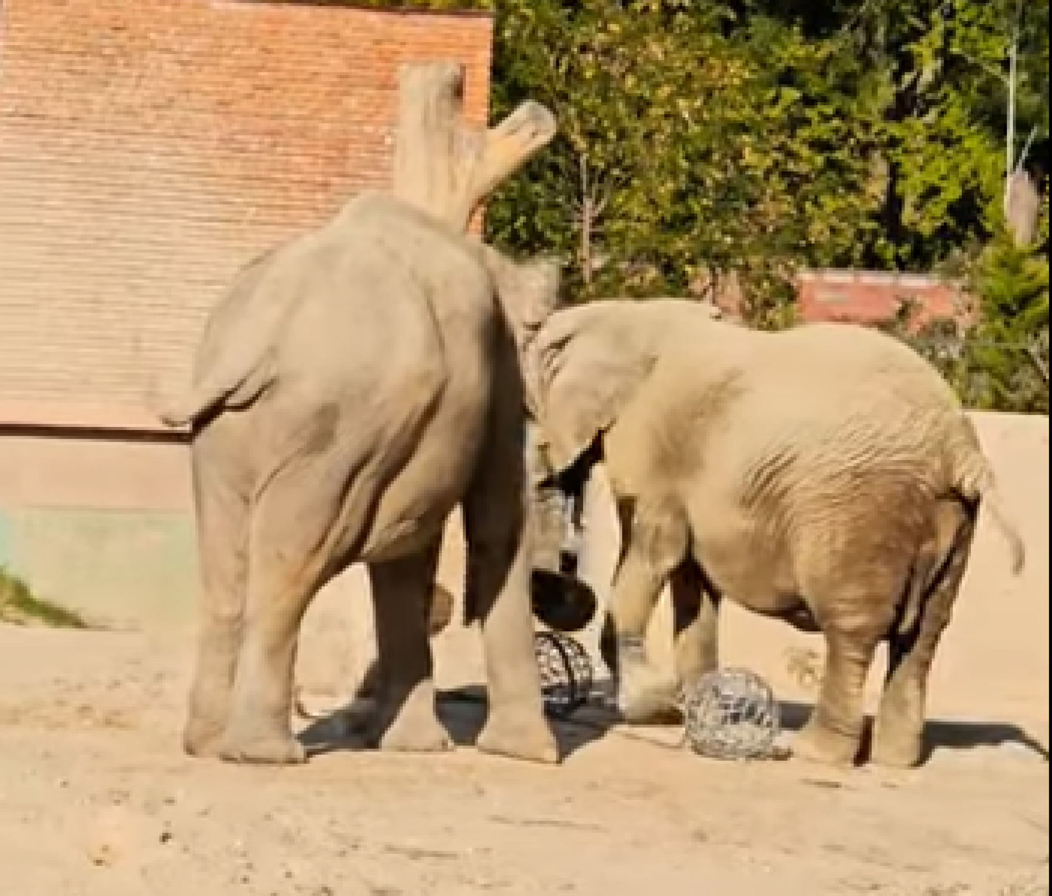 media-libraryleq0se1e6j02d6vRrfI