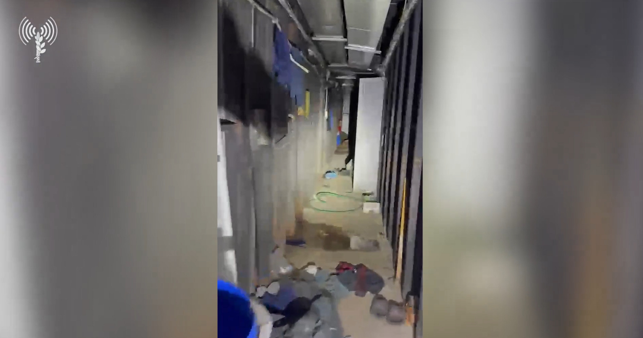 media-library8kpa0ur8tb8h2lACHVo