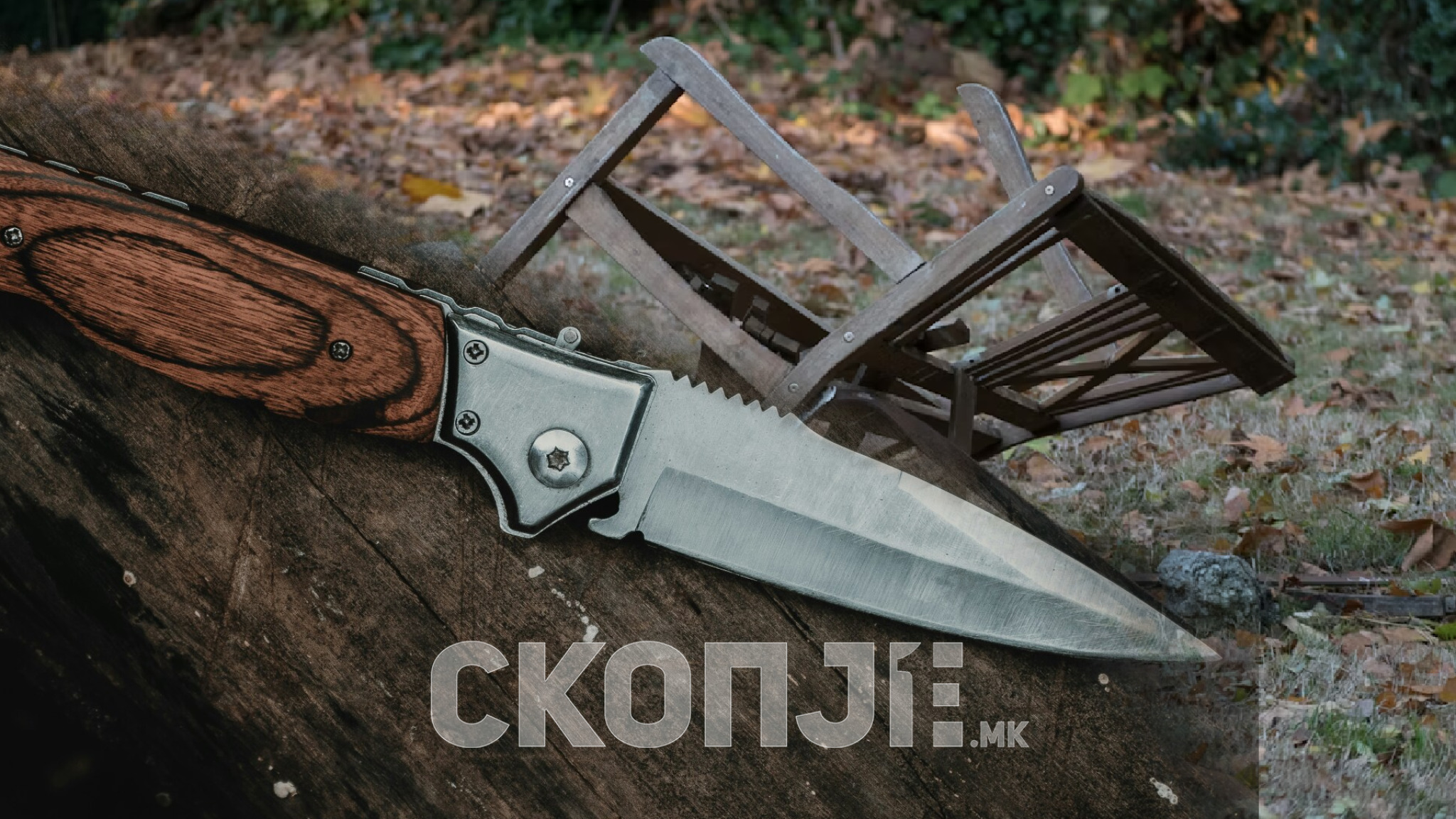 media-library4ochg4e5r0bib5PaCux