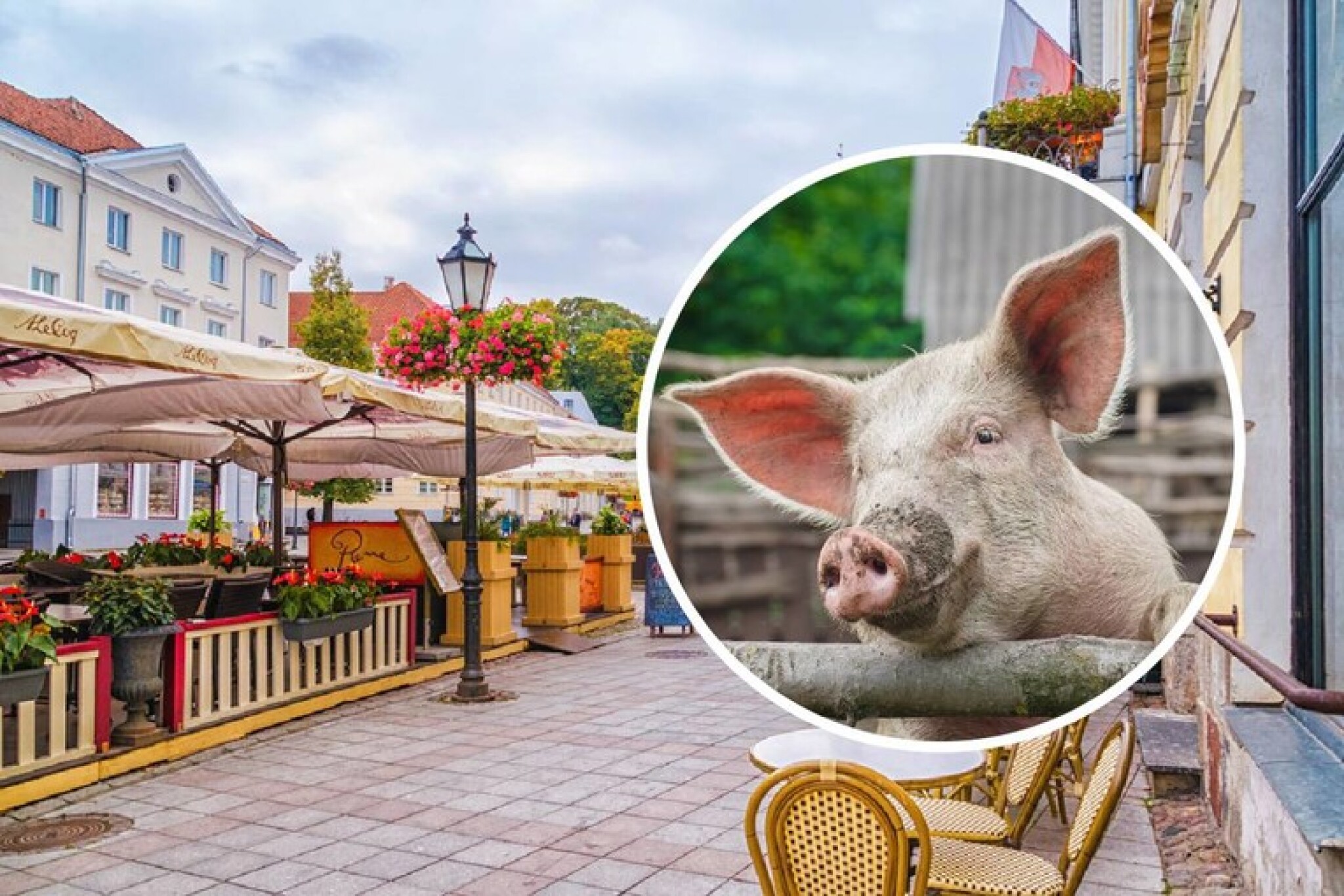 media-libraryf0mvs9ohvf380MpXI8Y