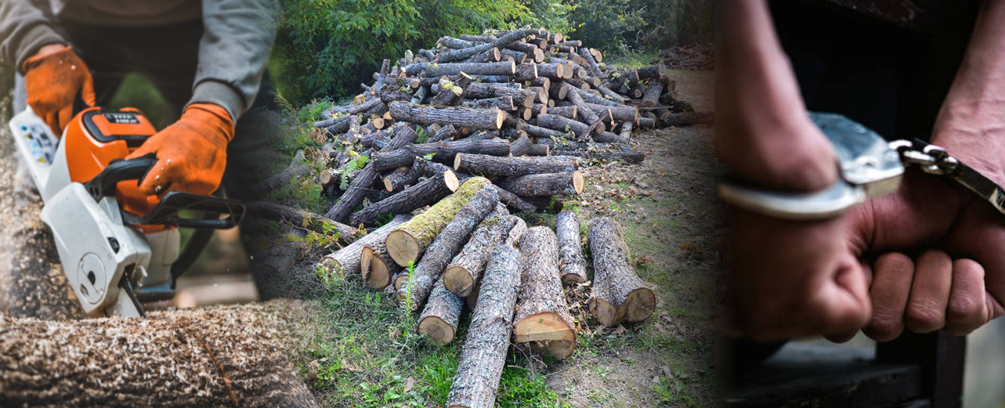 media-libraryfq2p54kr1p17c10uVTz