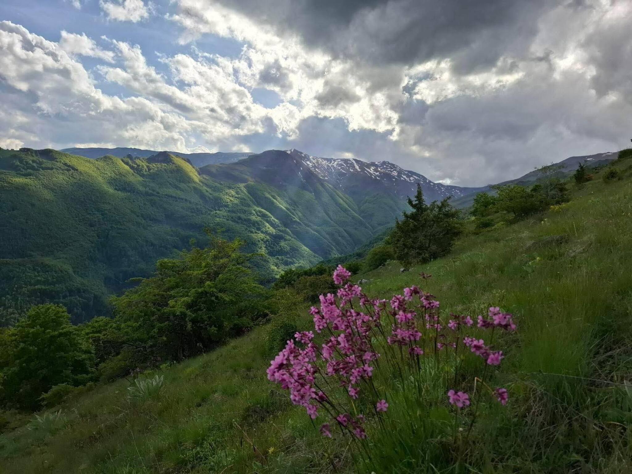 media-library3vmvn2o0soskaqV2WIs