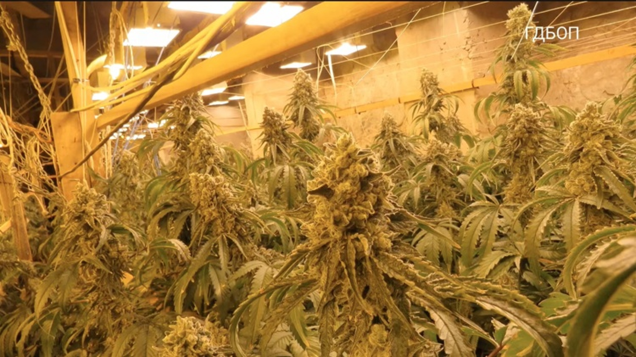 media-library4eocr0dpsi39dgZAU98