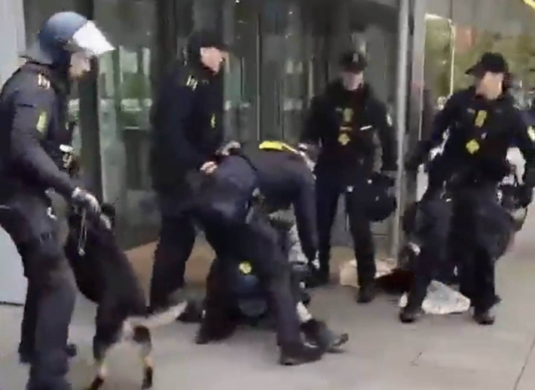 (Видео) Судир меѓу полицијата и демонстранти во Данска, употребени палки и полициско куче