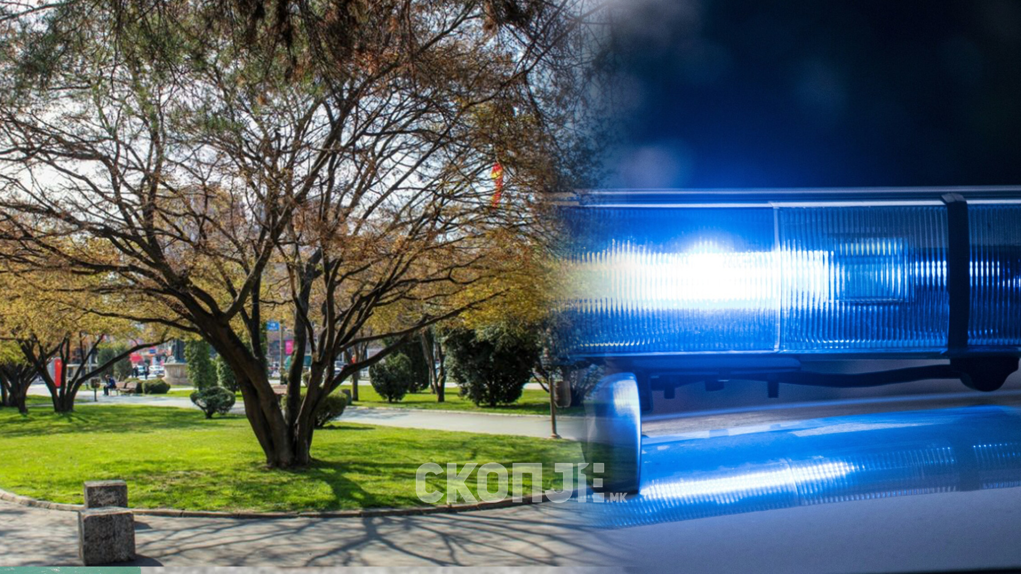 media-libraryh6ltie0nokbt25Jths8