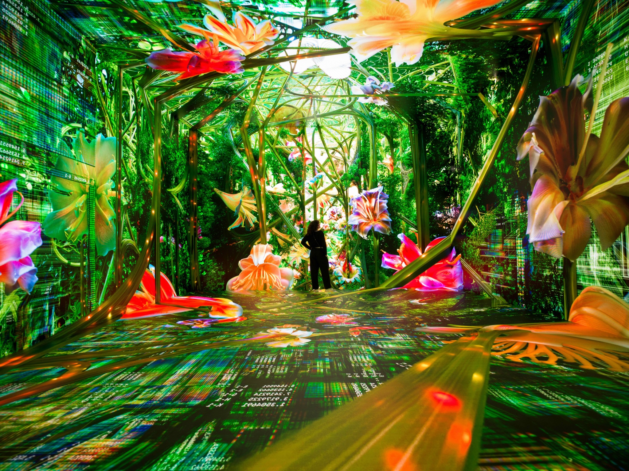 media-libraryp0va5m896lil2IVxKbT
