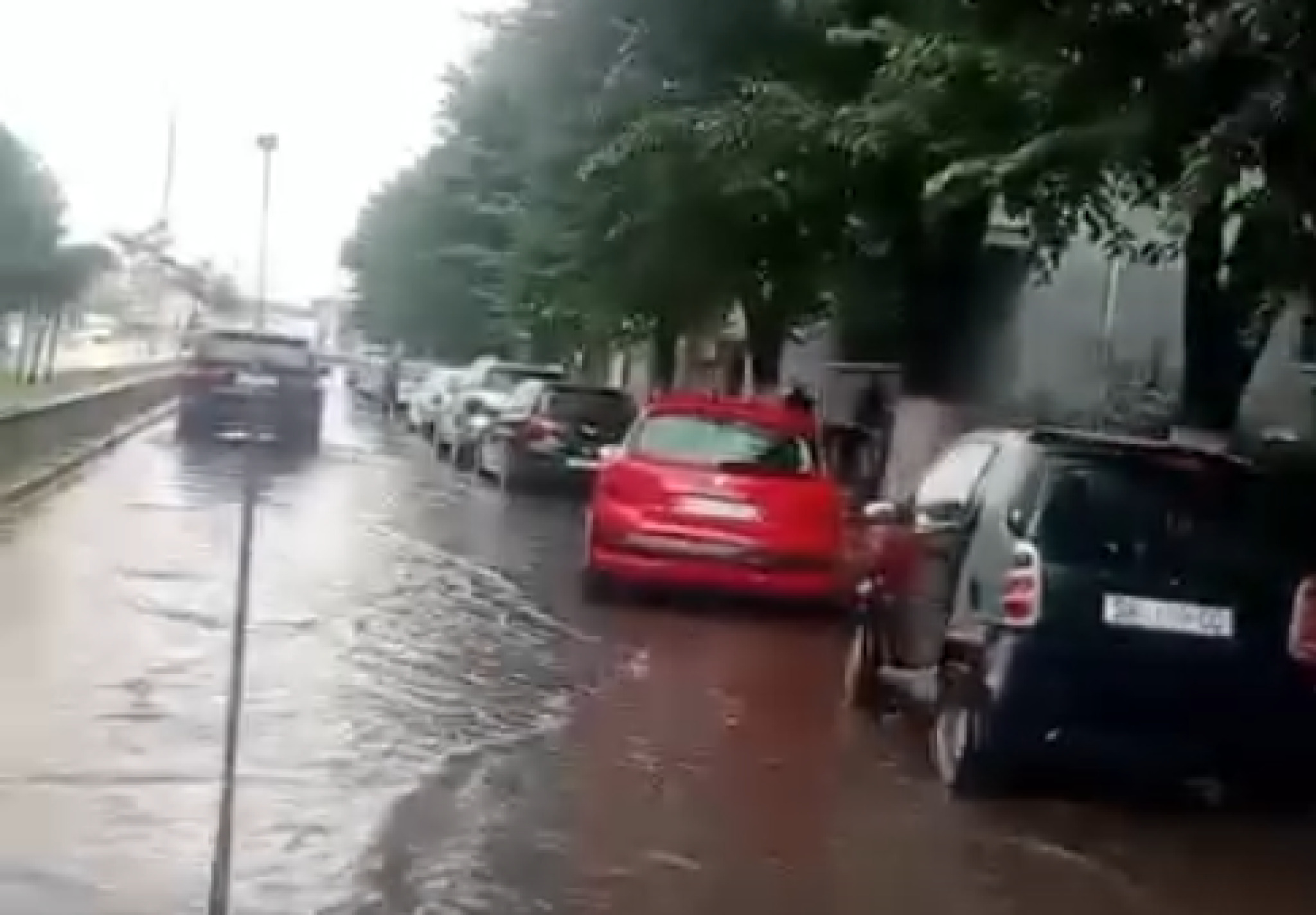 (Видео) Силно невреме ја зафати Струмица: Ветрот корнеше дрвја и однесуваше покриви