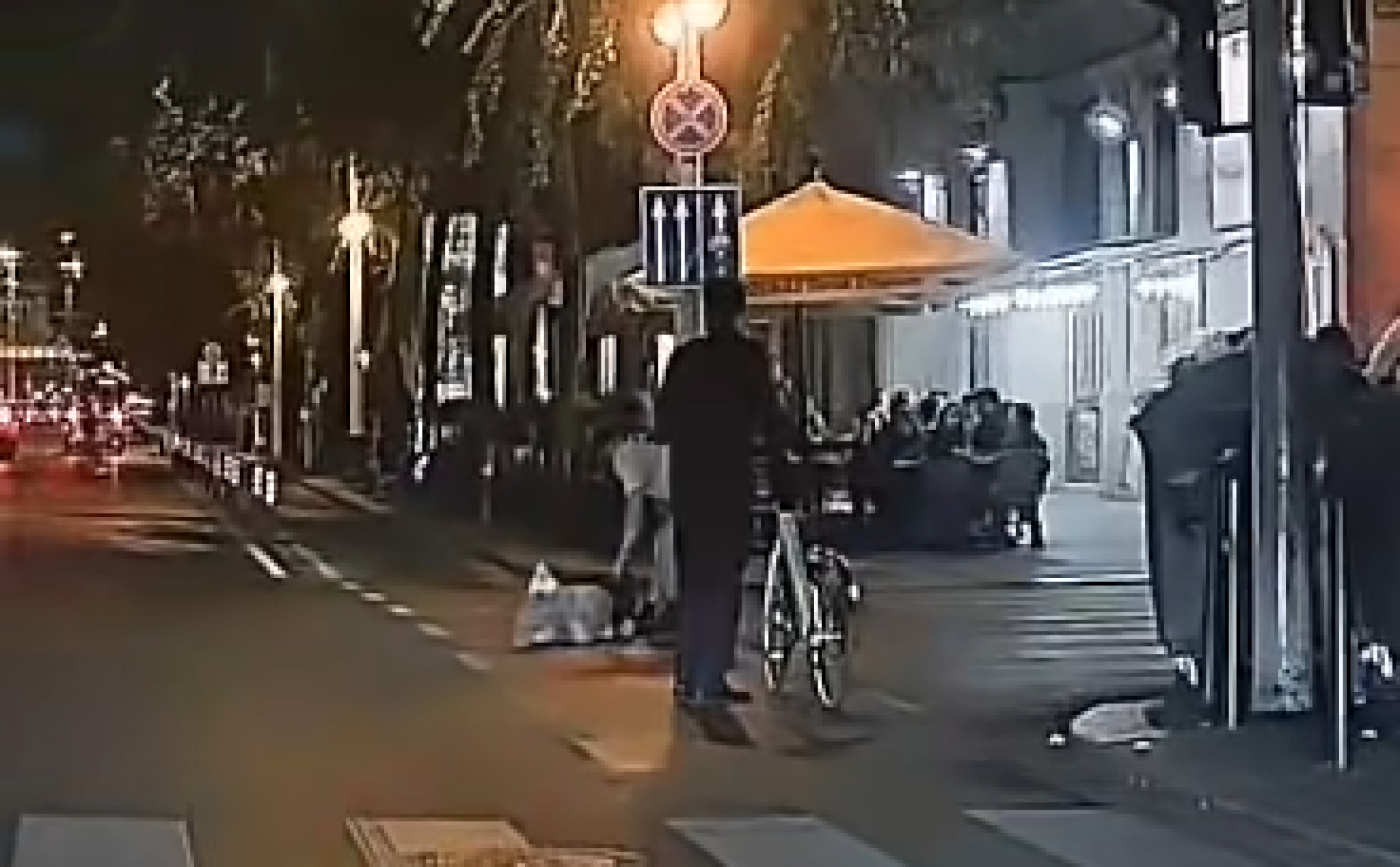(Видео) Младо момче брутално нападна маж во центарот на Будимпешта