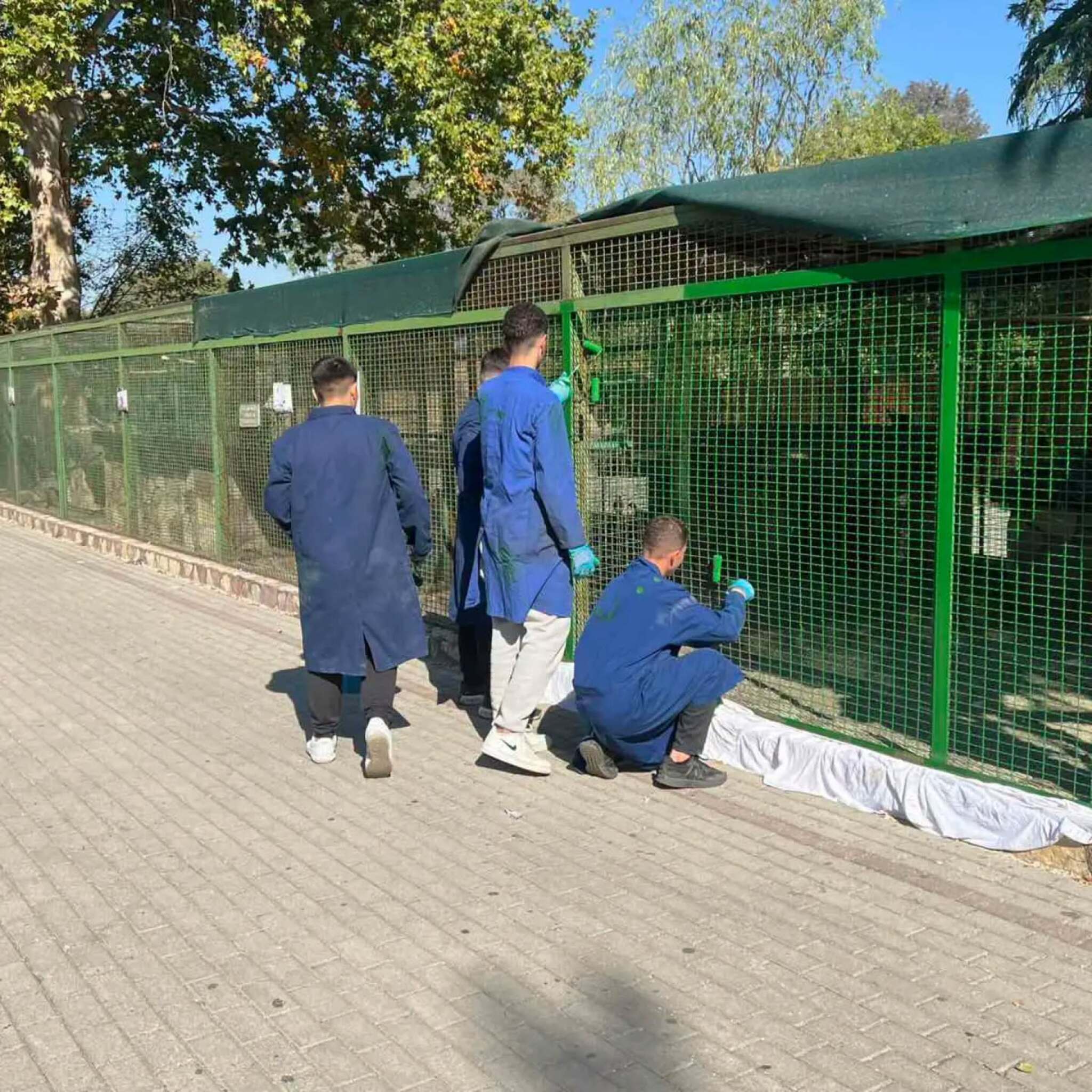 (Фото) Голема акција во Скопје ЗОО: Средношколци се здружија за поубава зоолошка